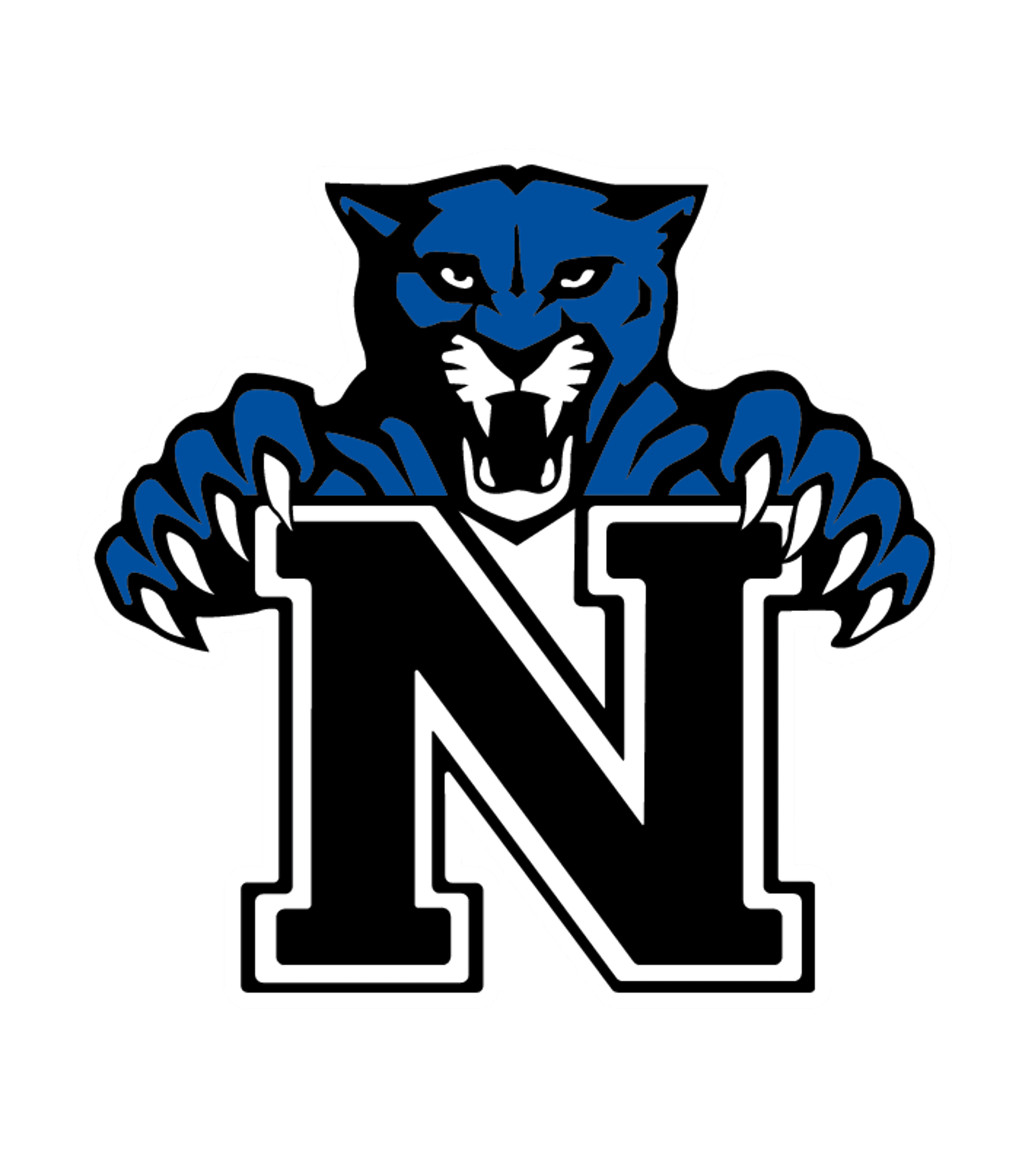 NEWFANE SENIOR HIGH SCHOOL Logo