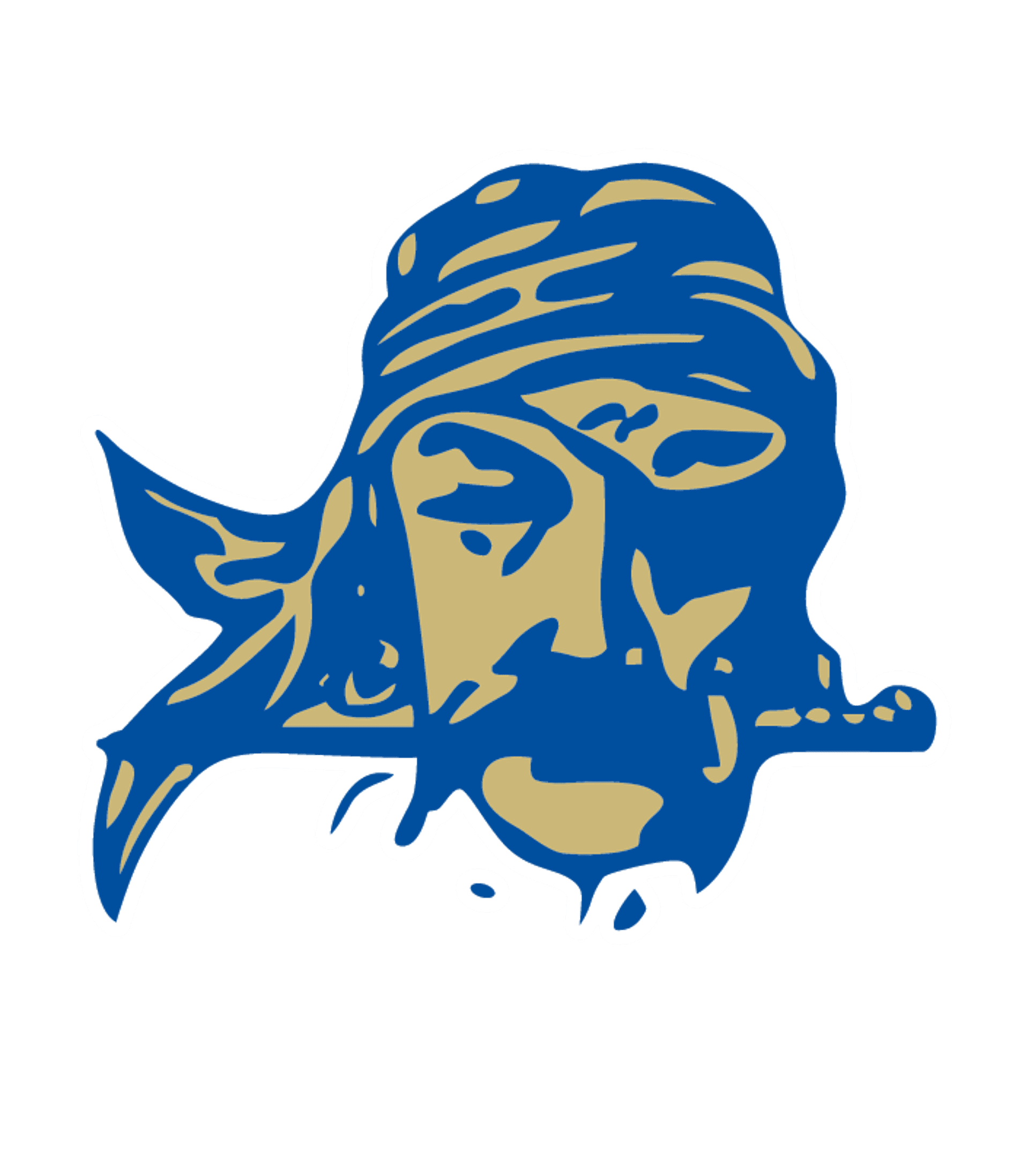 NATIVE - Sanders Valley High School Logo