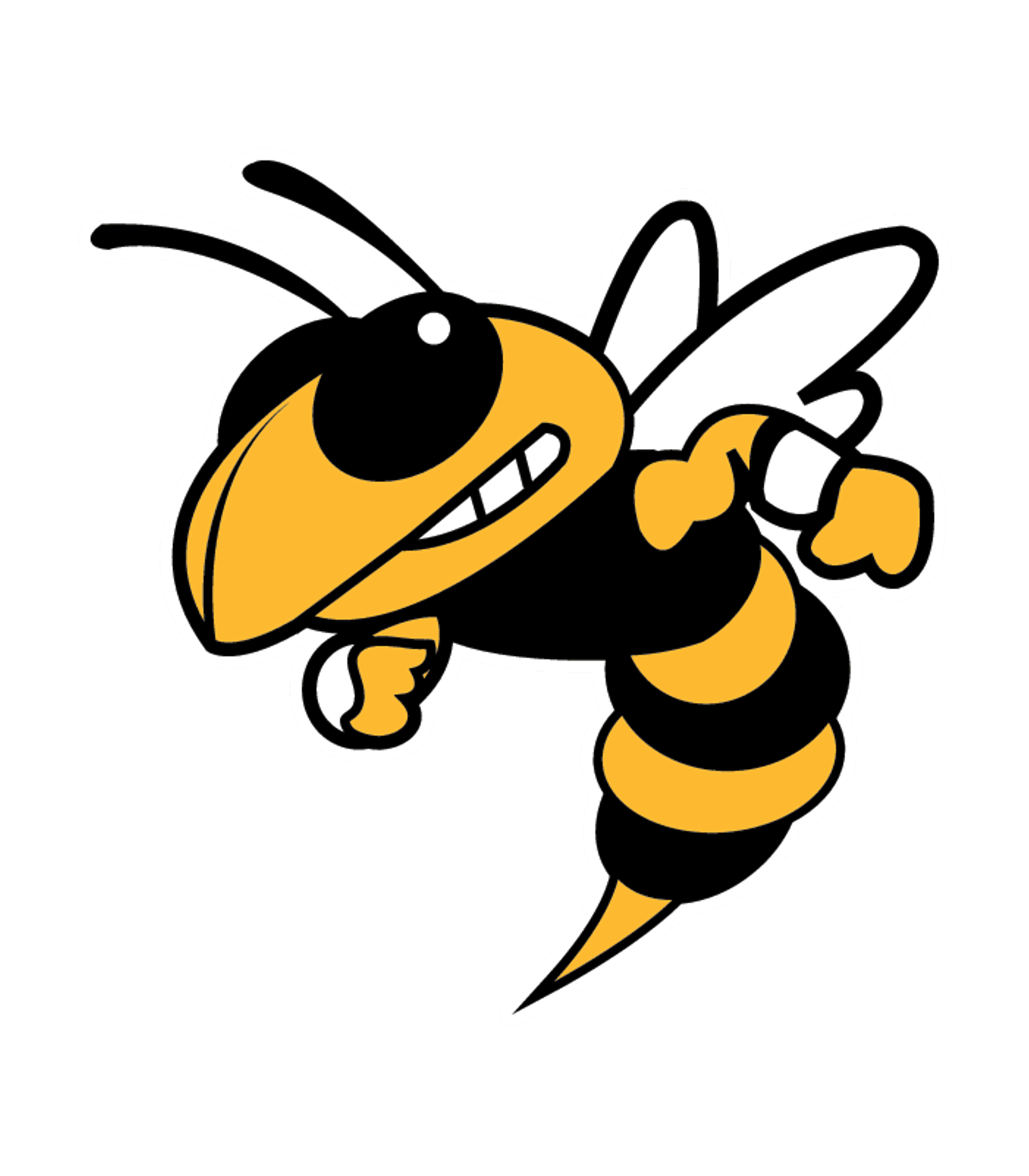 Morristown Jr-Sr High School Logo