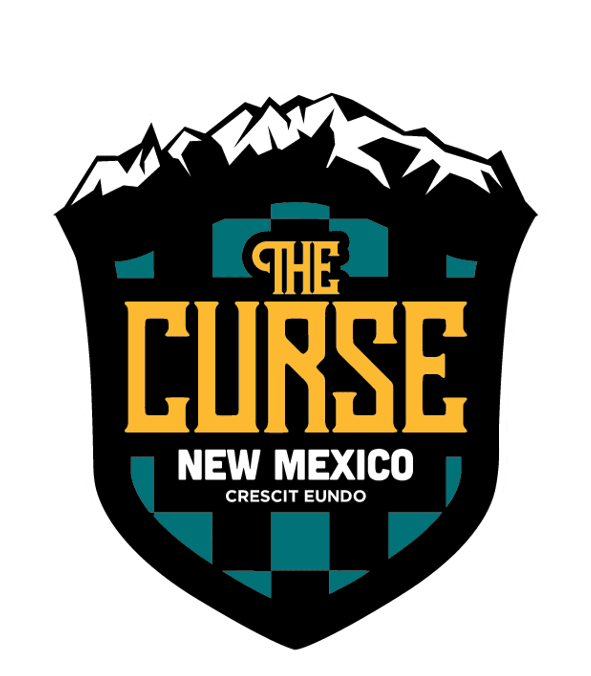 NEW MEXICO ACADEMY FOR THE MEDIA ARTS Logo