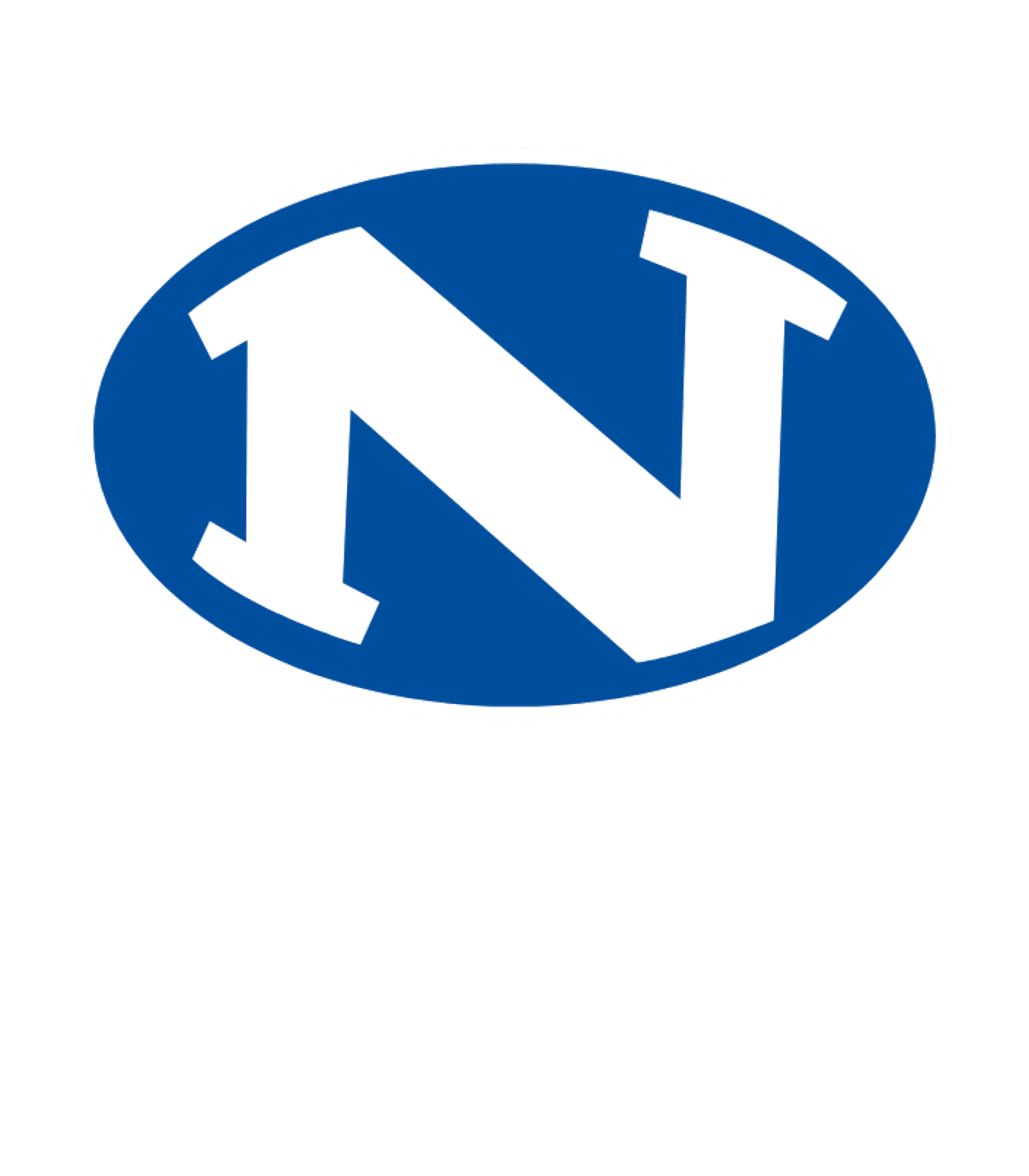 Nazareth Area HS Logo