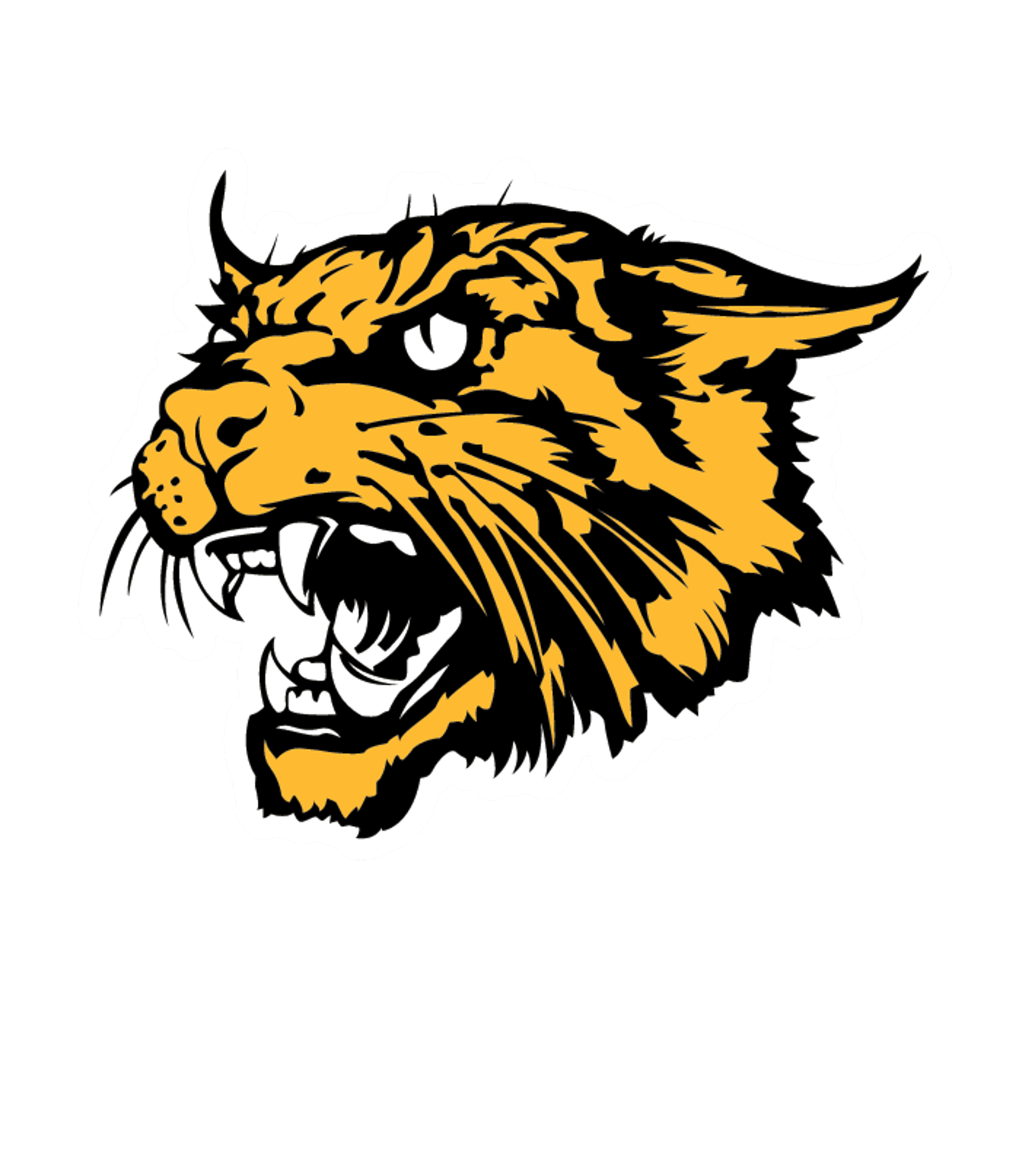 Moscow High Logo