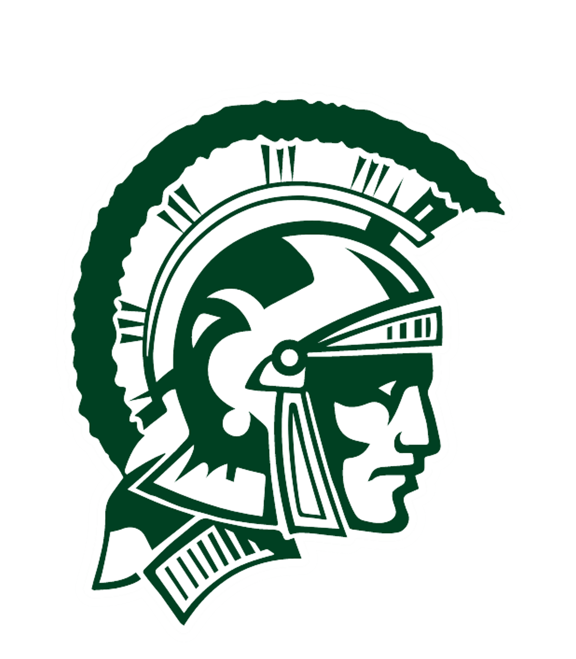 NEWFIELD SENIOR HIGH SCHOOL Logo