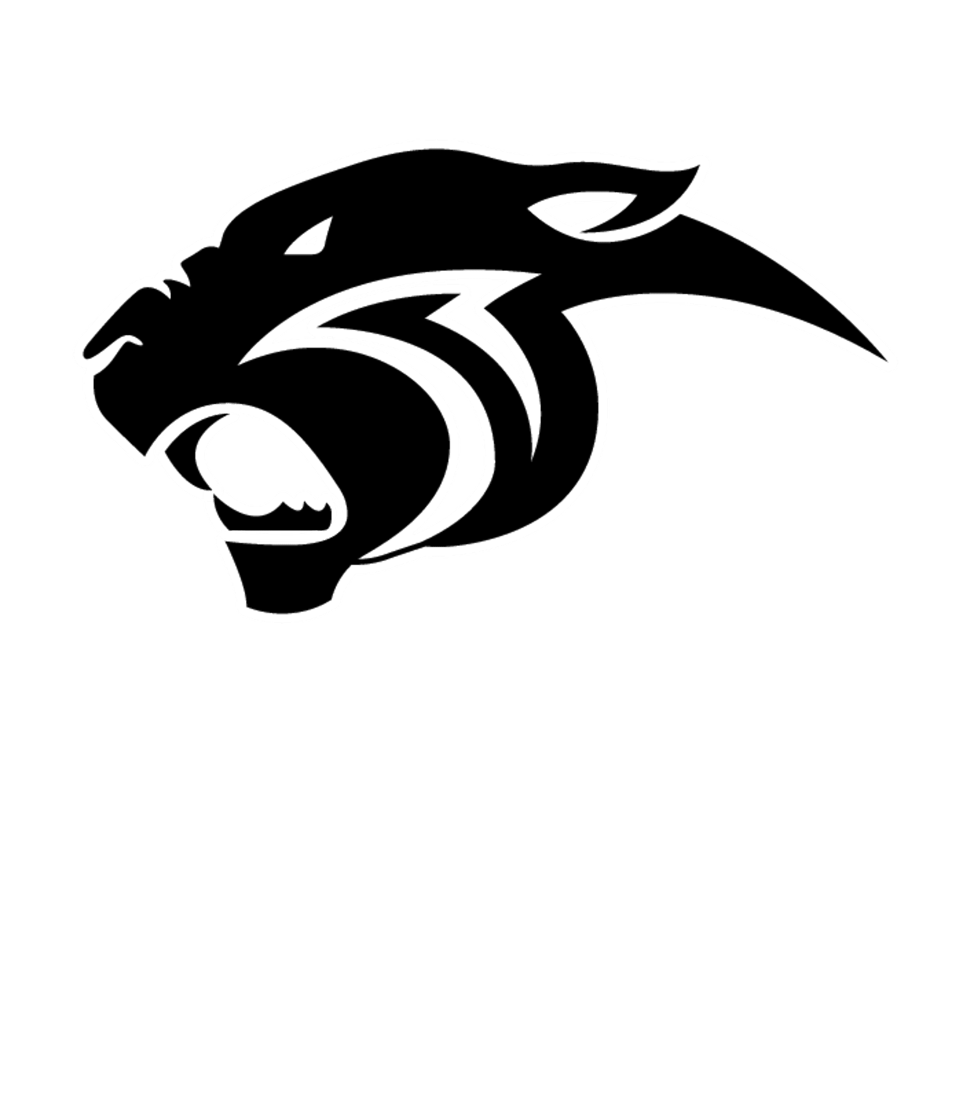 PIEDRA VISTA HIGH Logo