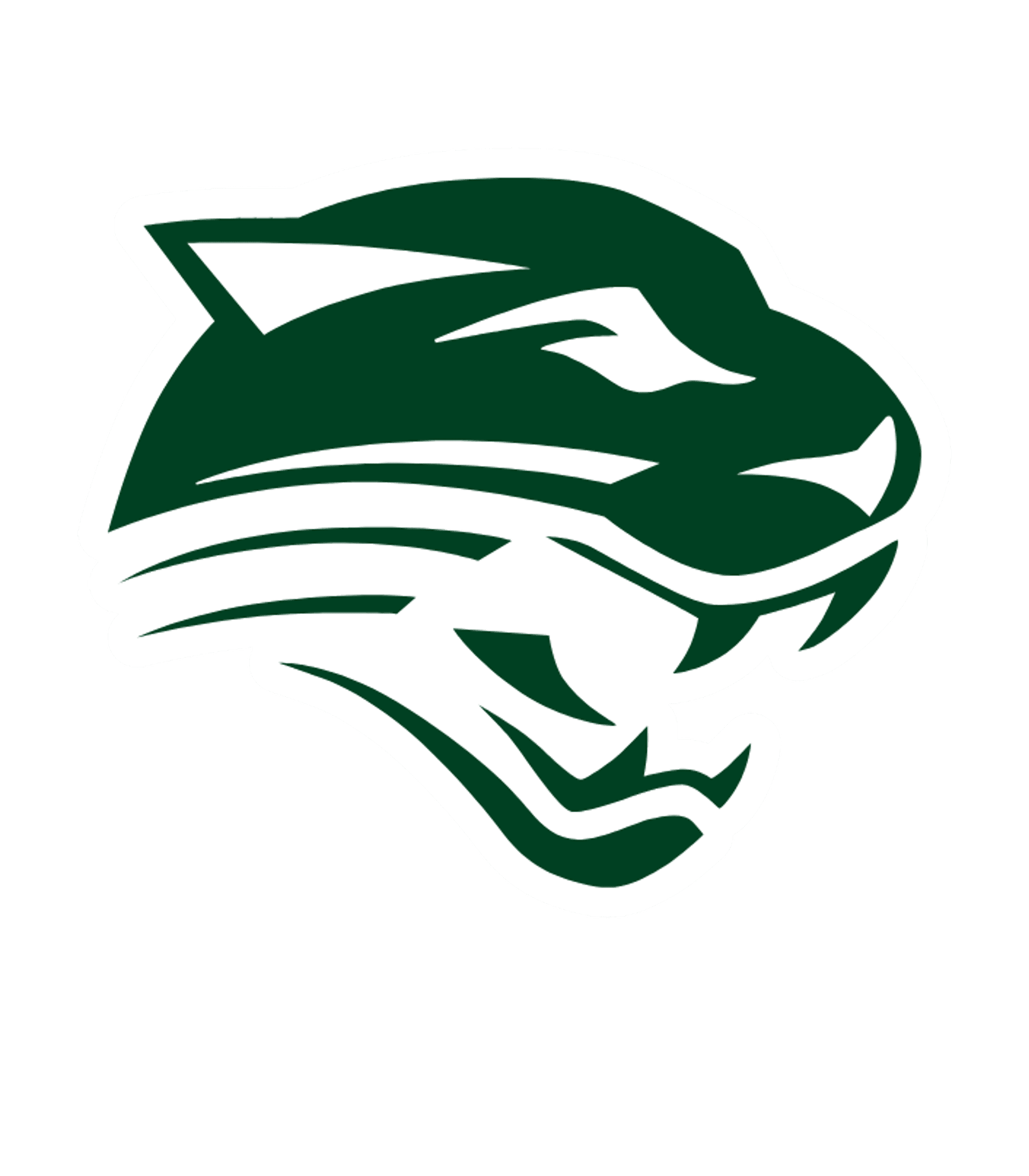PIONEER SENIOR HIGH SCHOOL Logo