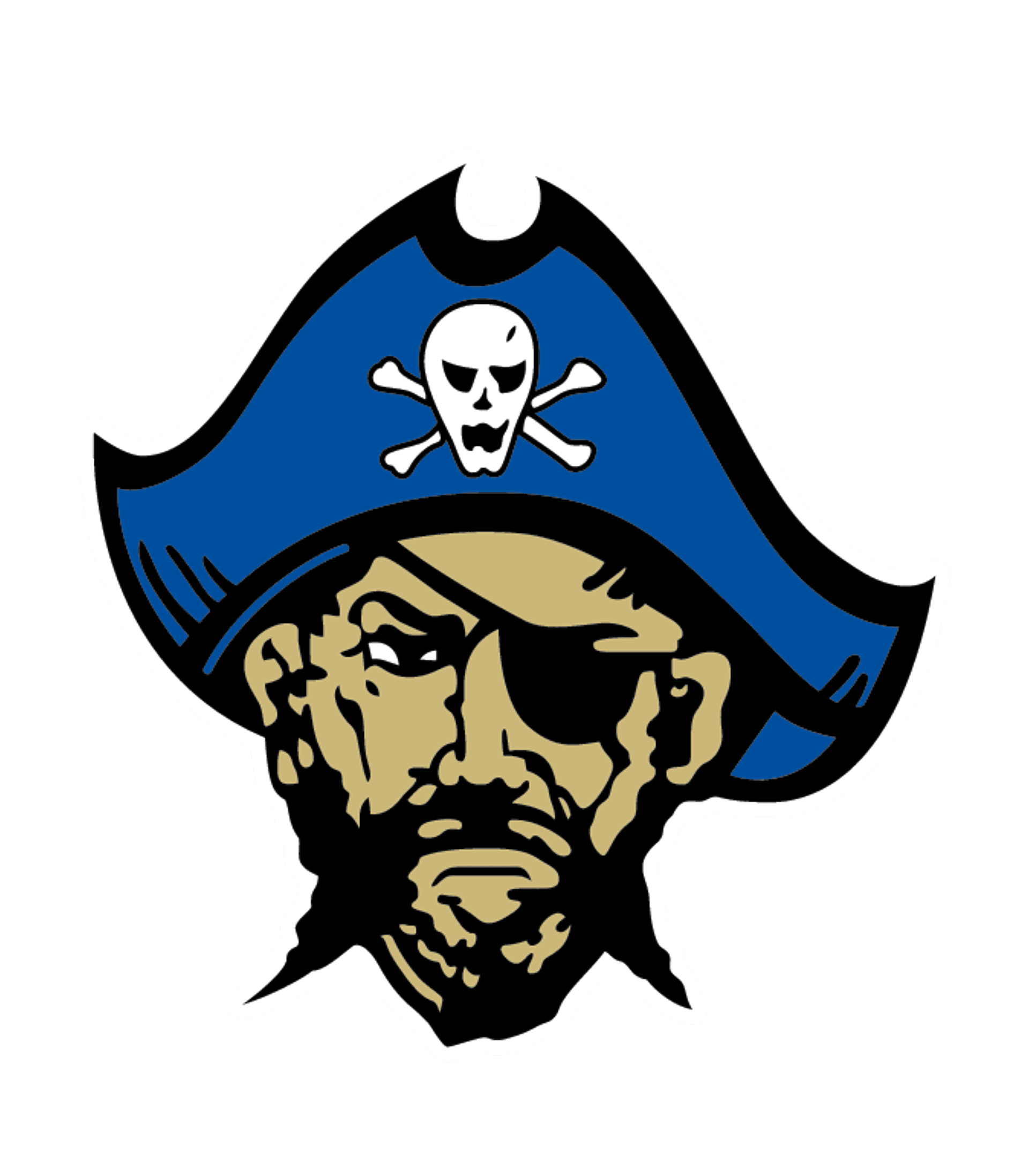 Proviso THSD 209 Dream School Logo