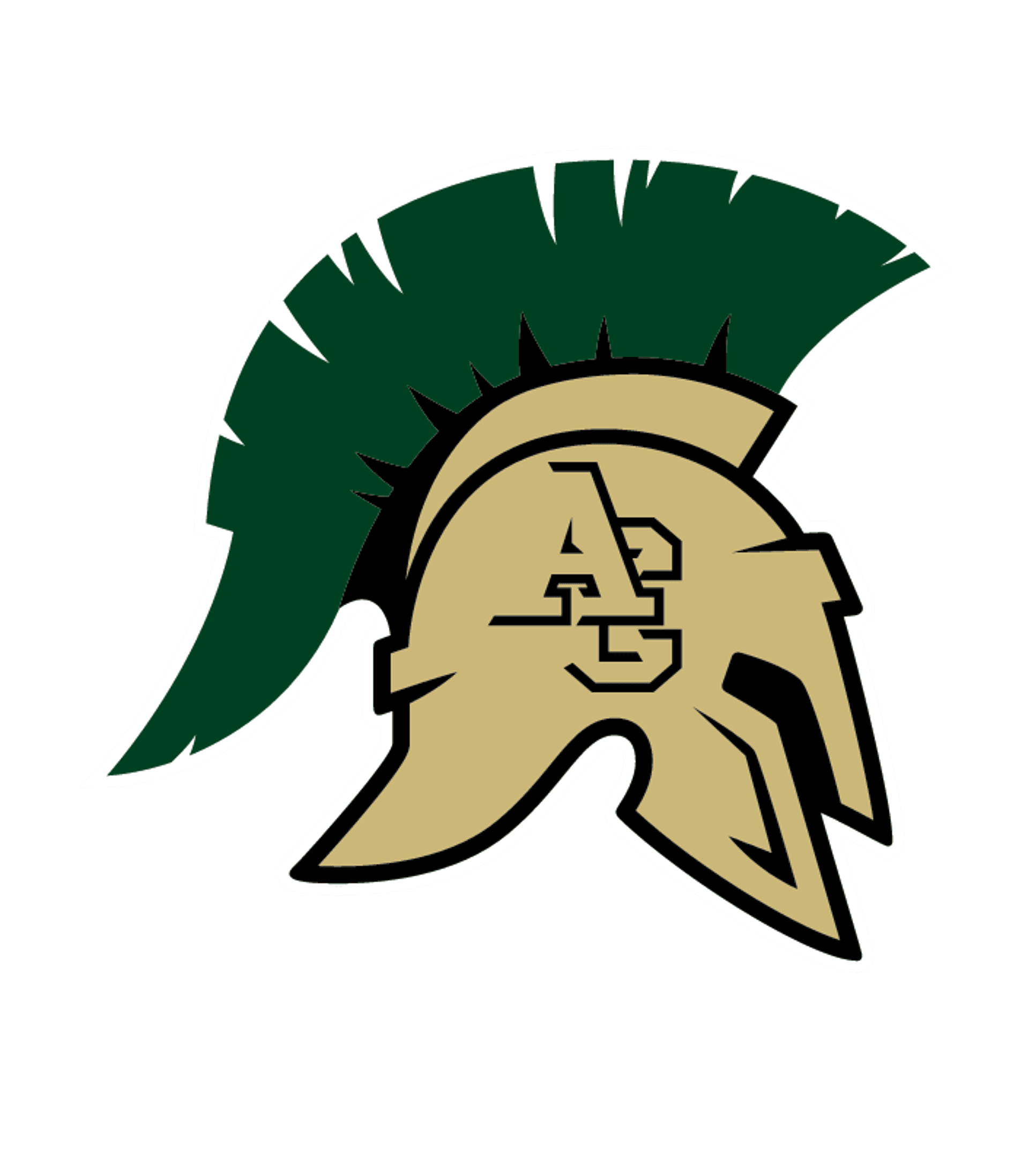 New America School - Aurora Logo