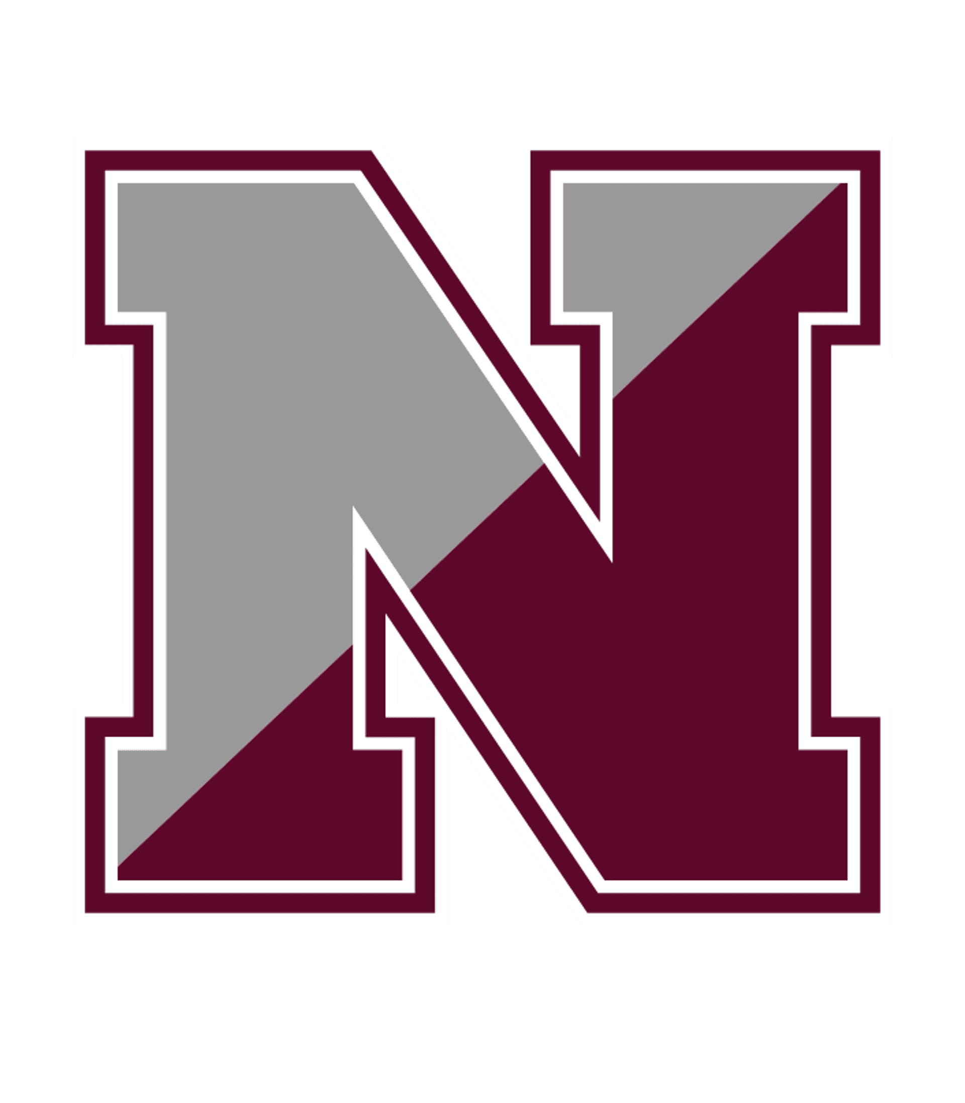 NEWARK VALLEY SENIOR HIGH SCHOOL Logo