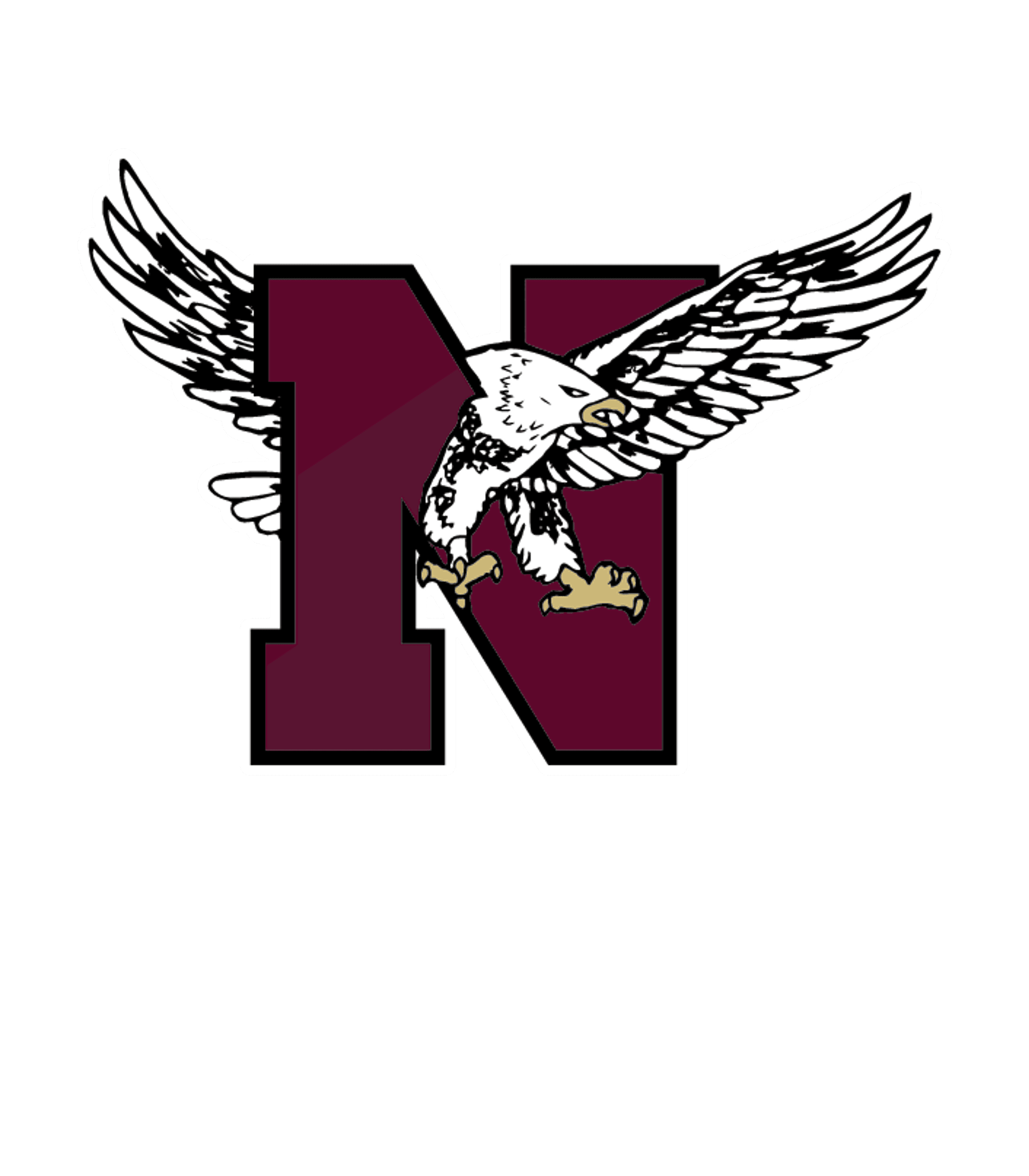 NICEVILLE SENIOR HIGH SCHOOL Logo