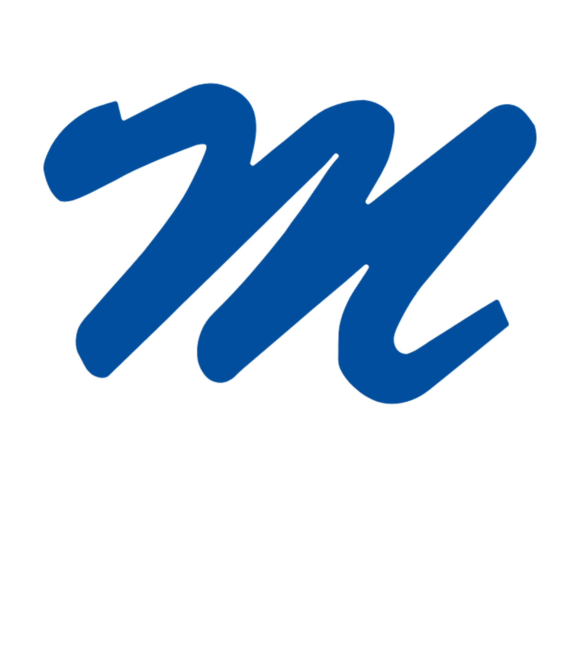 MOUNT MORRIS MIDDLE/SENIOR HIGH SCHOOL Logo