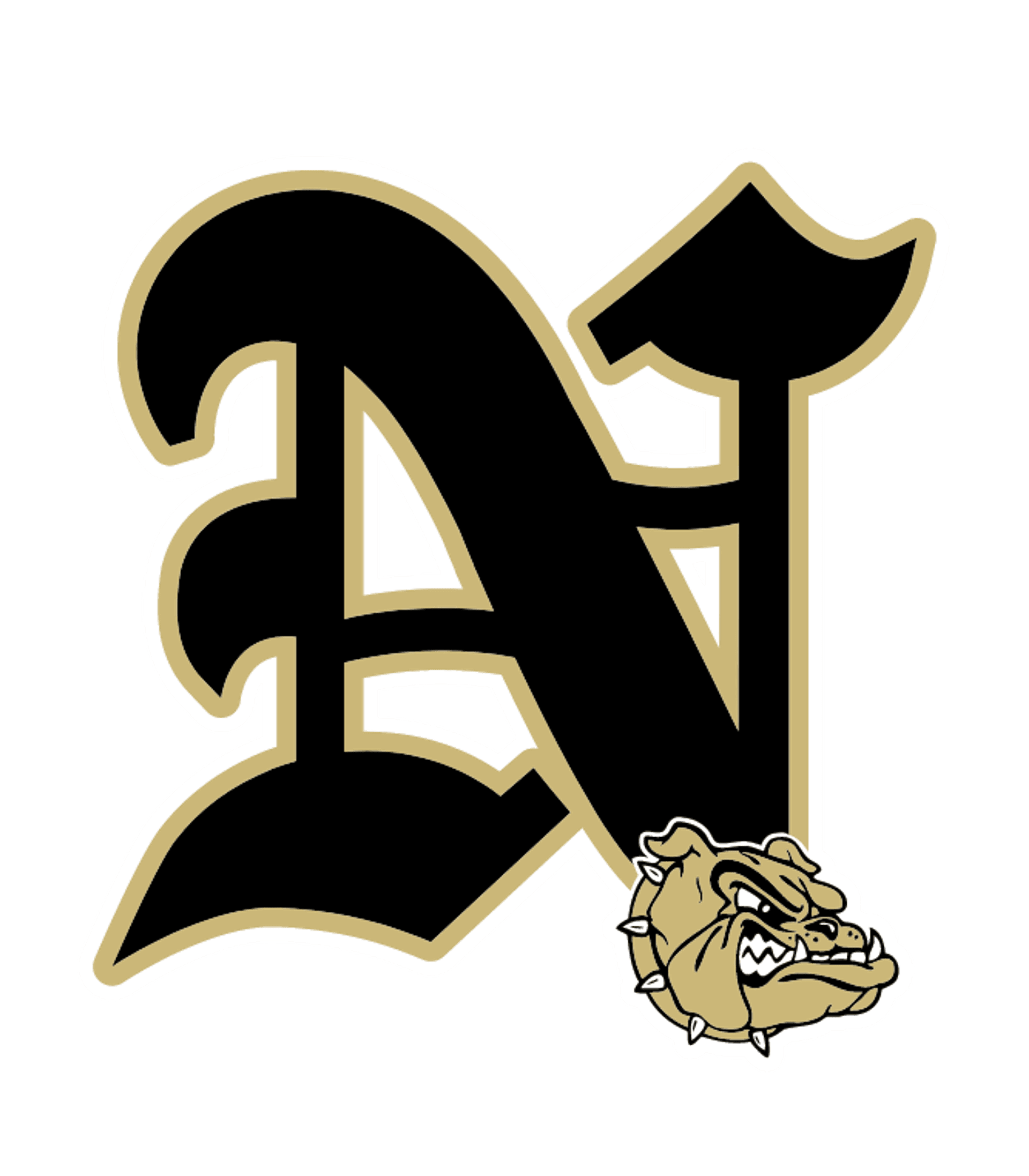 NEDERLAND H S Logo