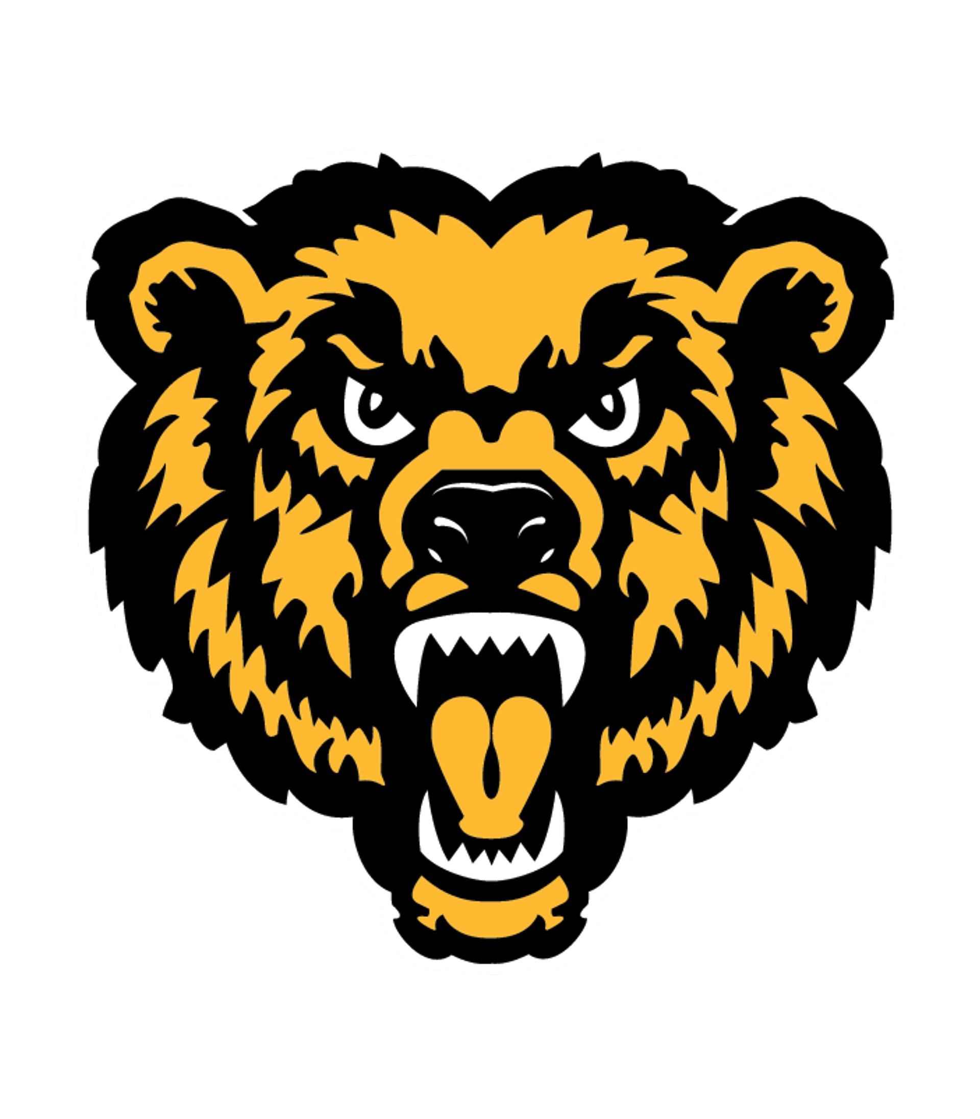 NATIVE - Shonto High School Logo