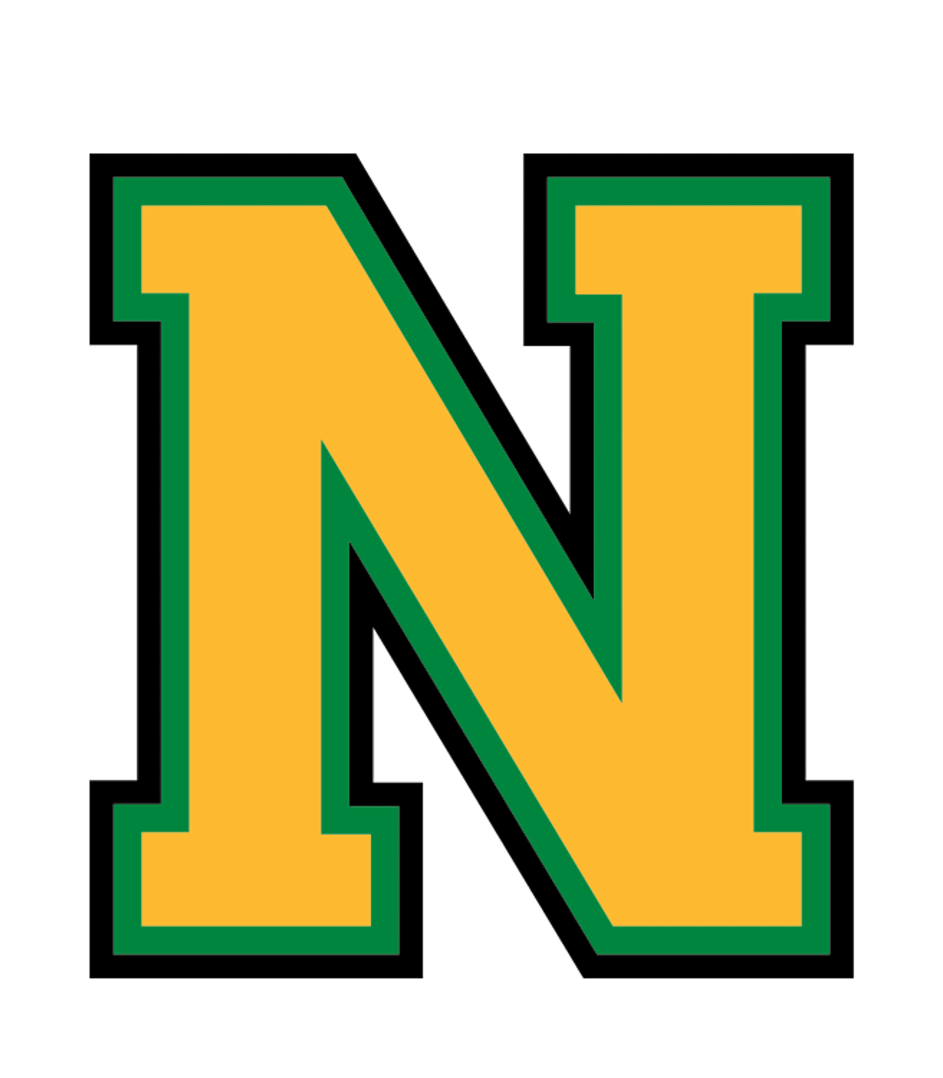 NEVIS SECONDARY Logo