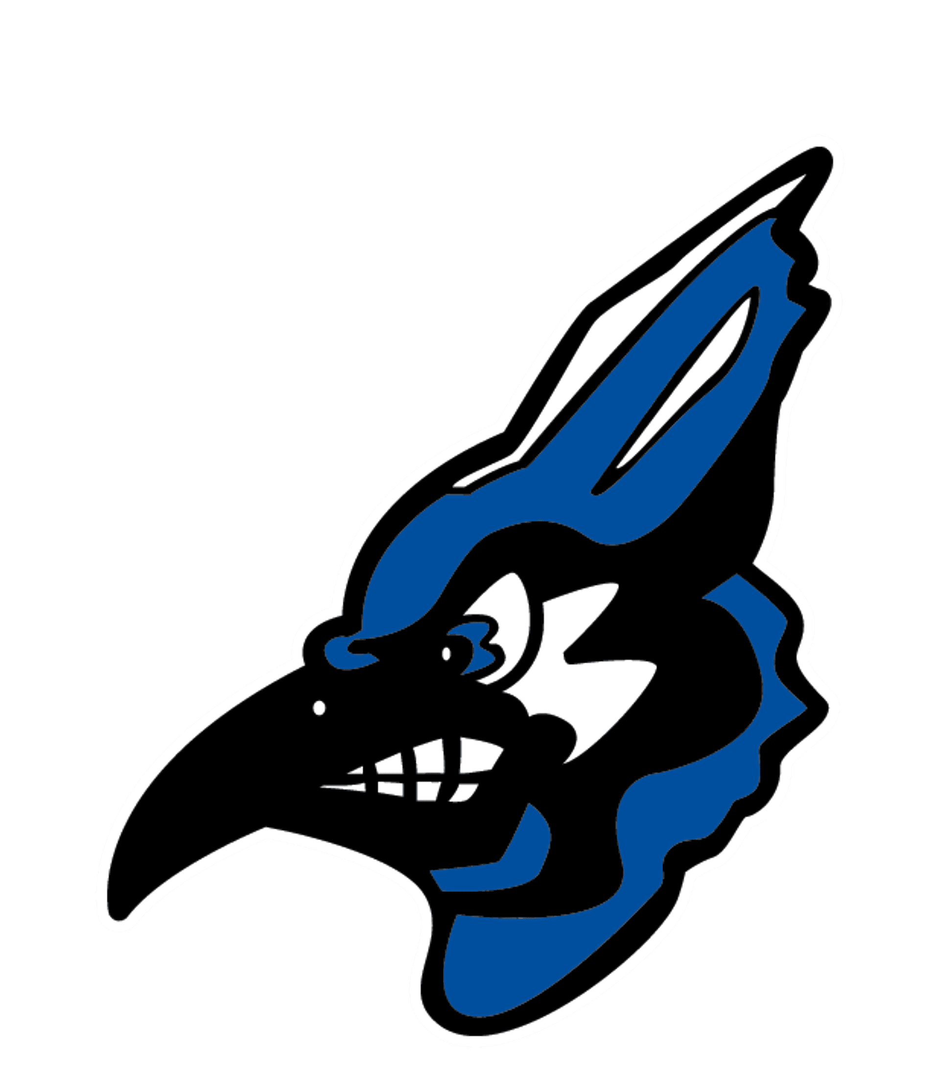 NEVADA HIGH  SCHOOL Logo