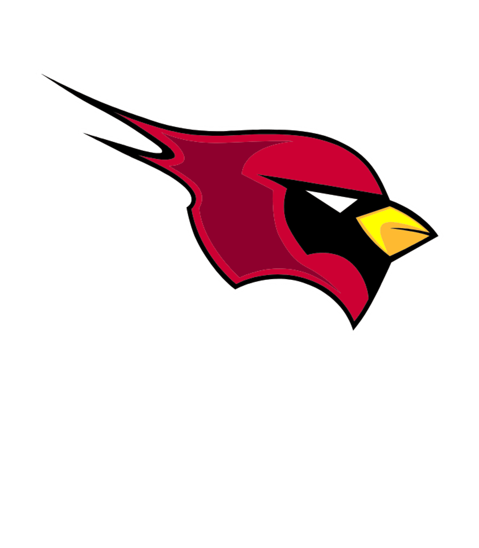 NEDROSE HIGH SCHOOL Logo