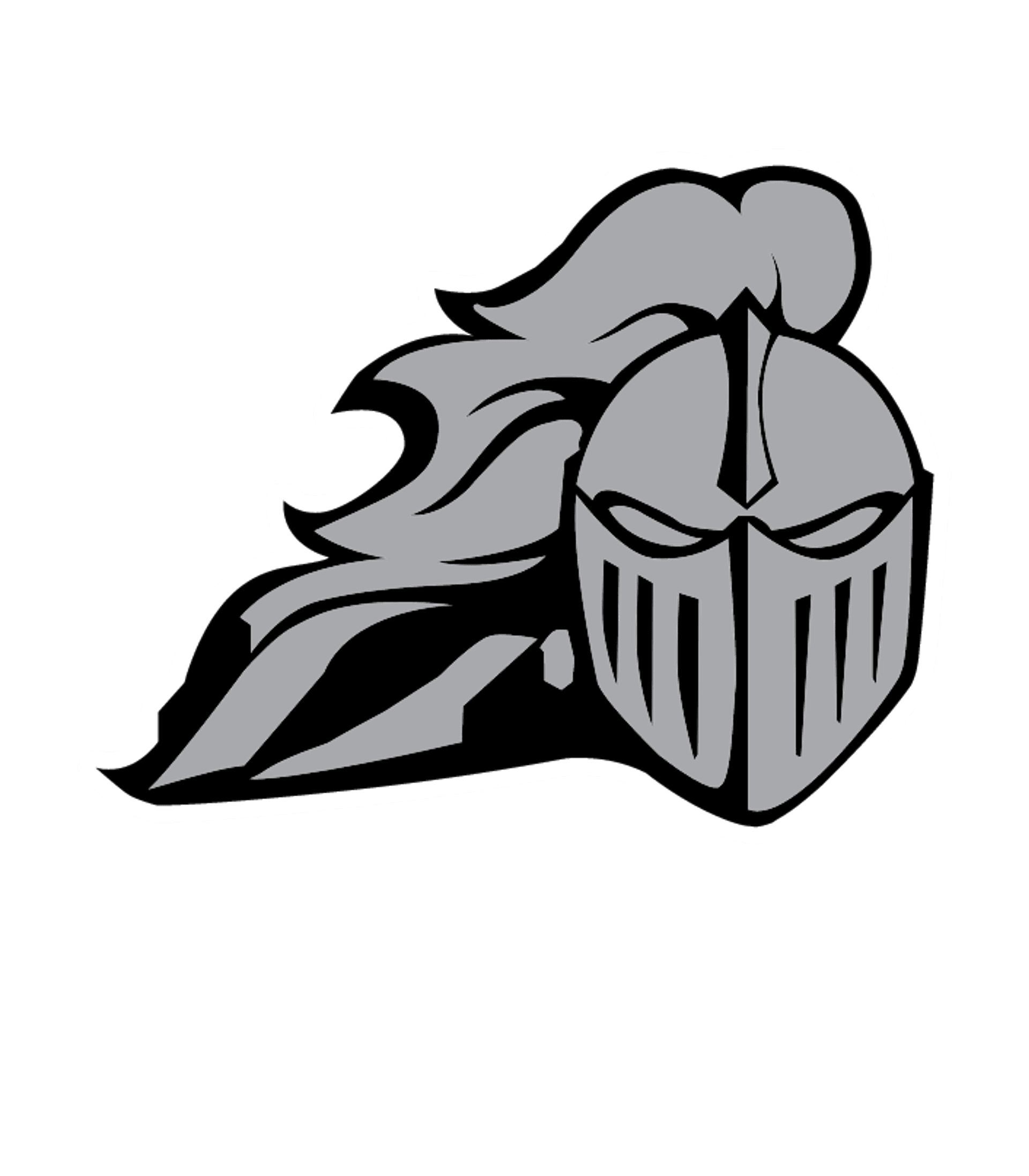 NORTH DAVIESS HIGH Logo