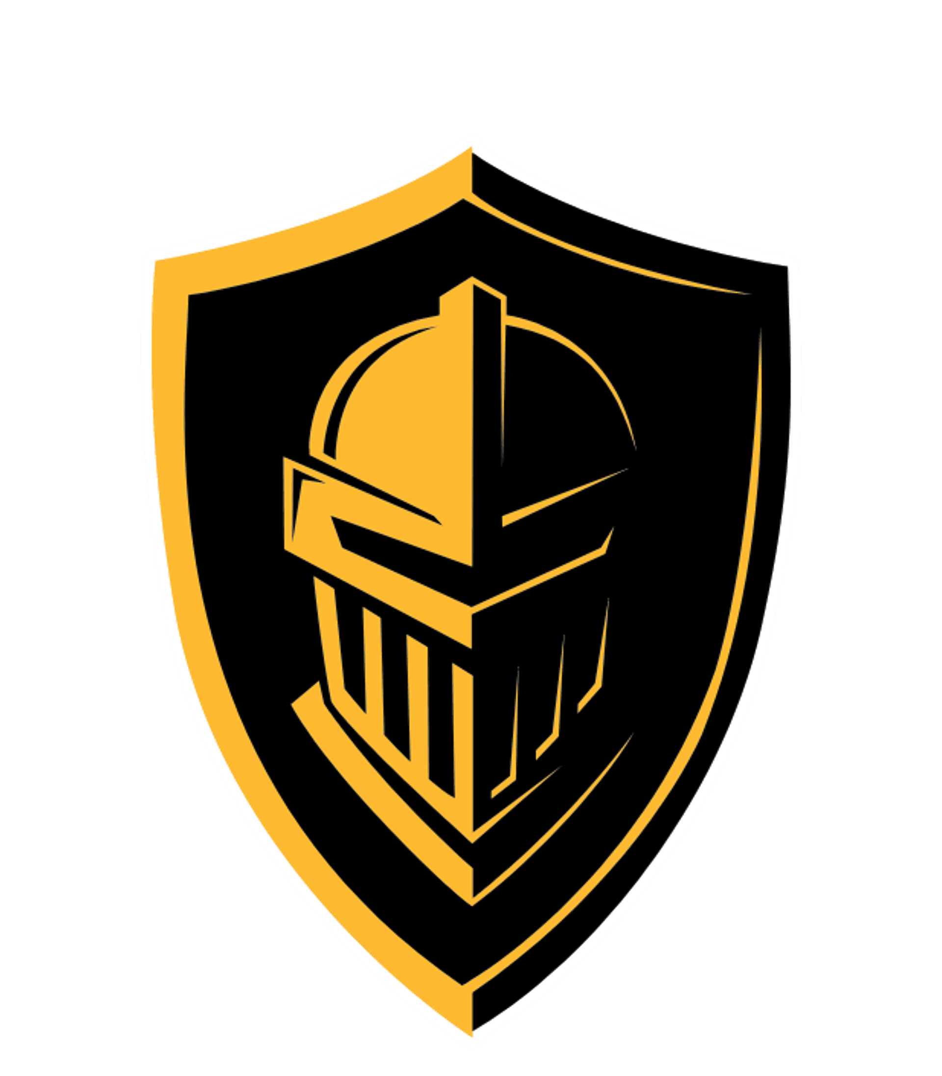 NANUET SENIOR HIGH SCHOOL Logo