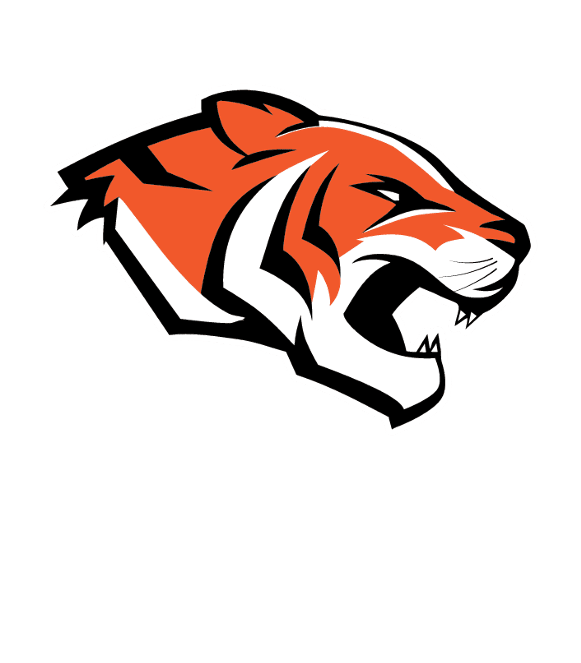 Morris Area Secondary Logo