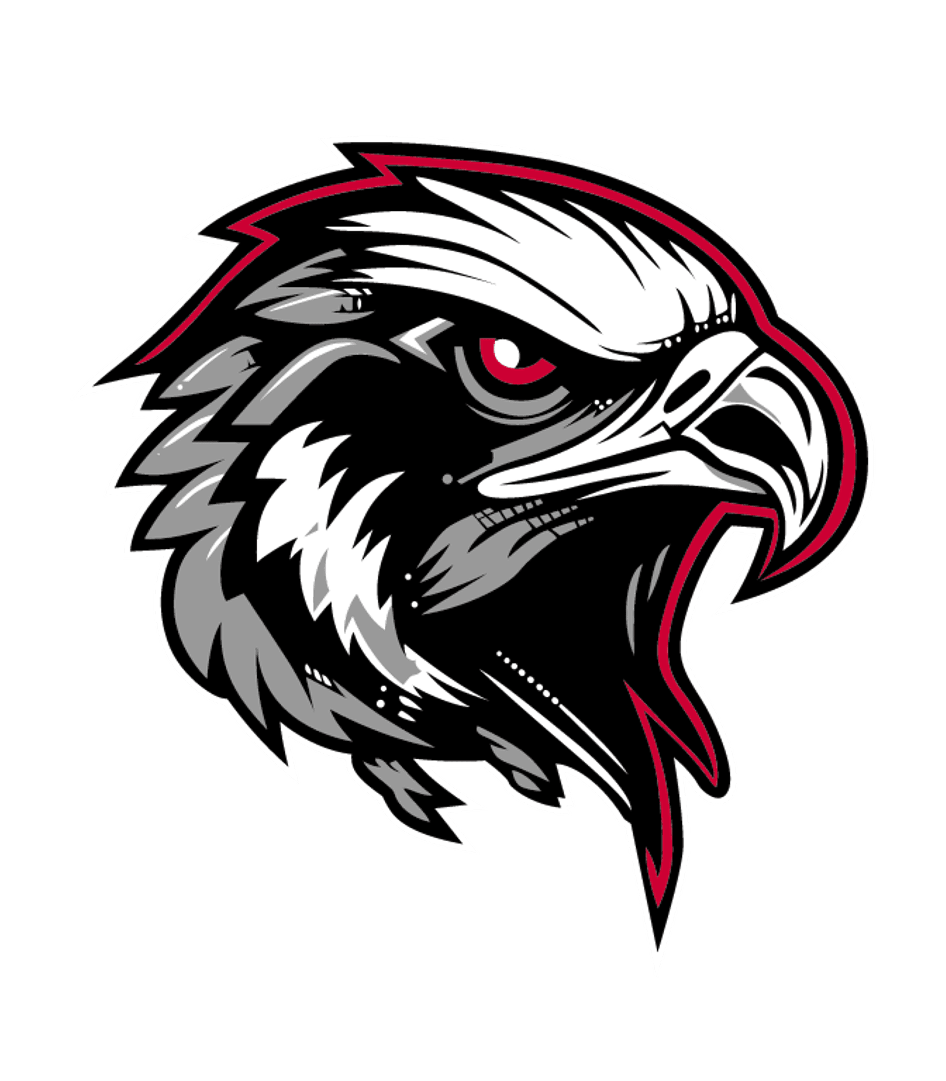 North Buncombe High Logo