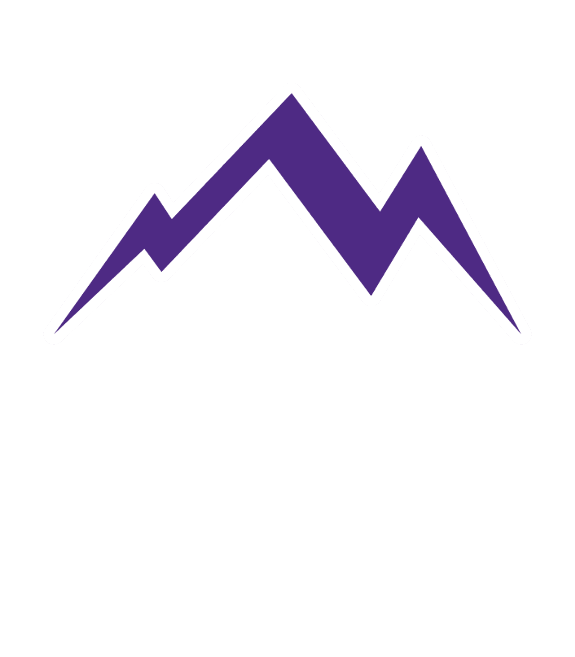 Nesbitt Discovery Academy Logo