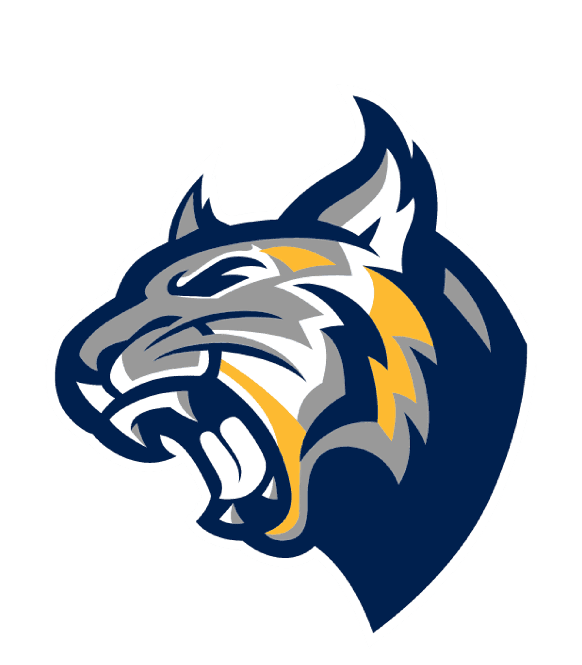 Oxford Bridges High School Logo