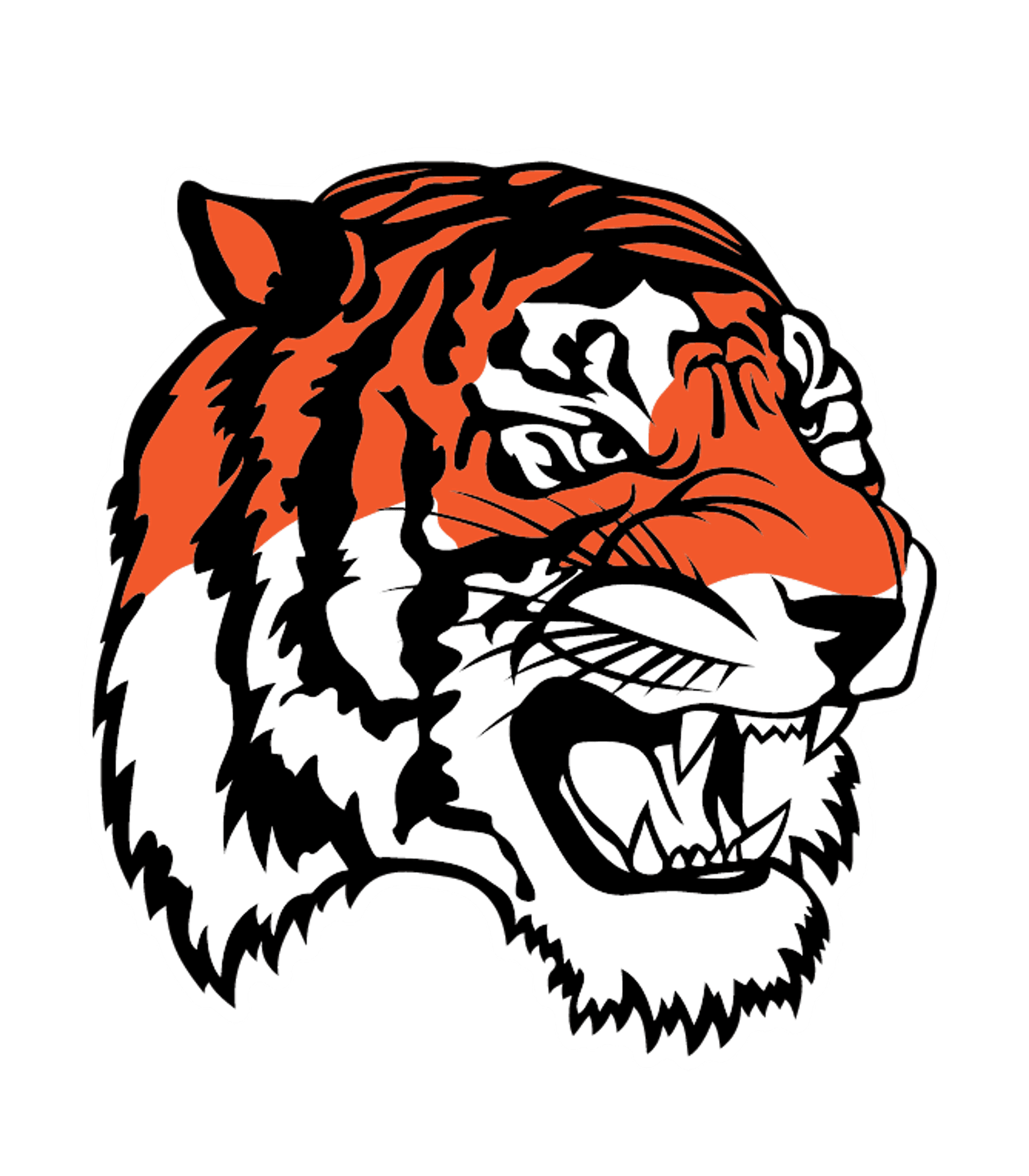PALMER JUNIOR-SENIOR HIGH Logo