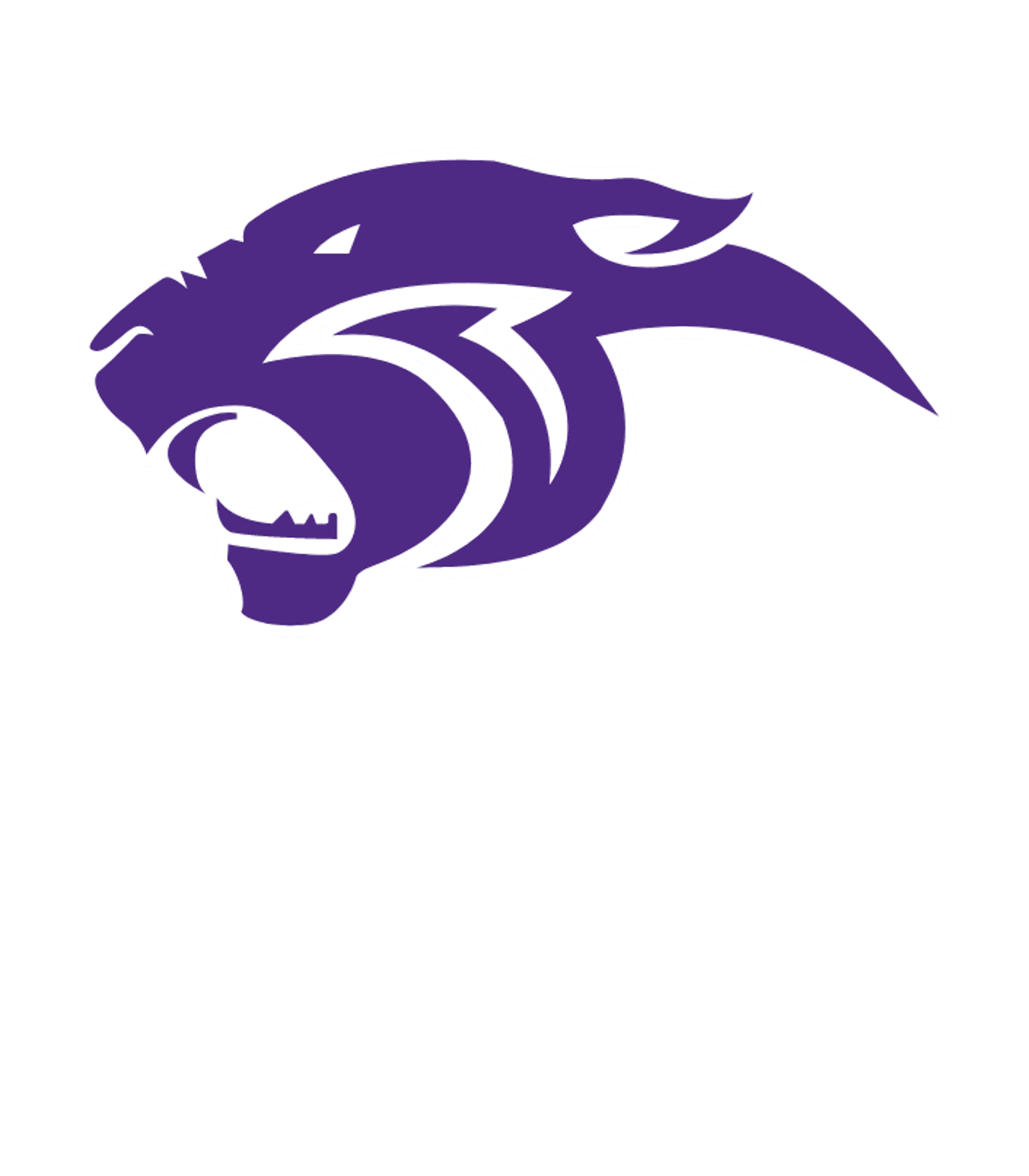 PARK HILL SOUTH HIGH Logo