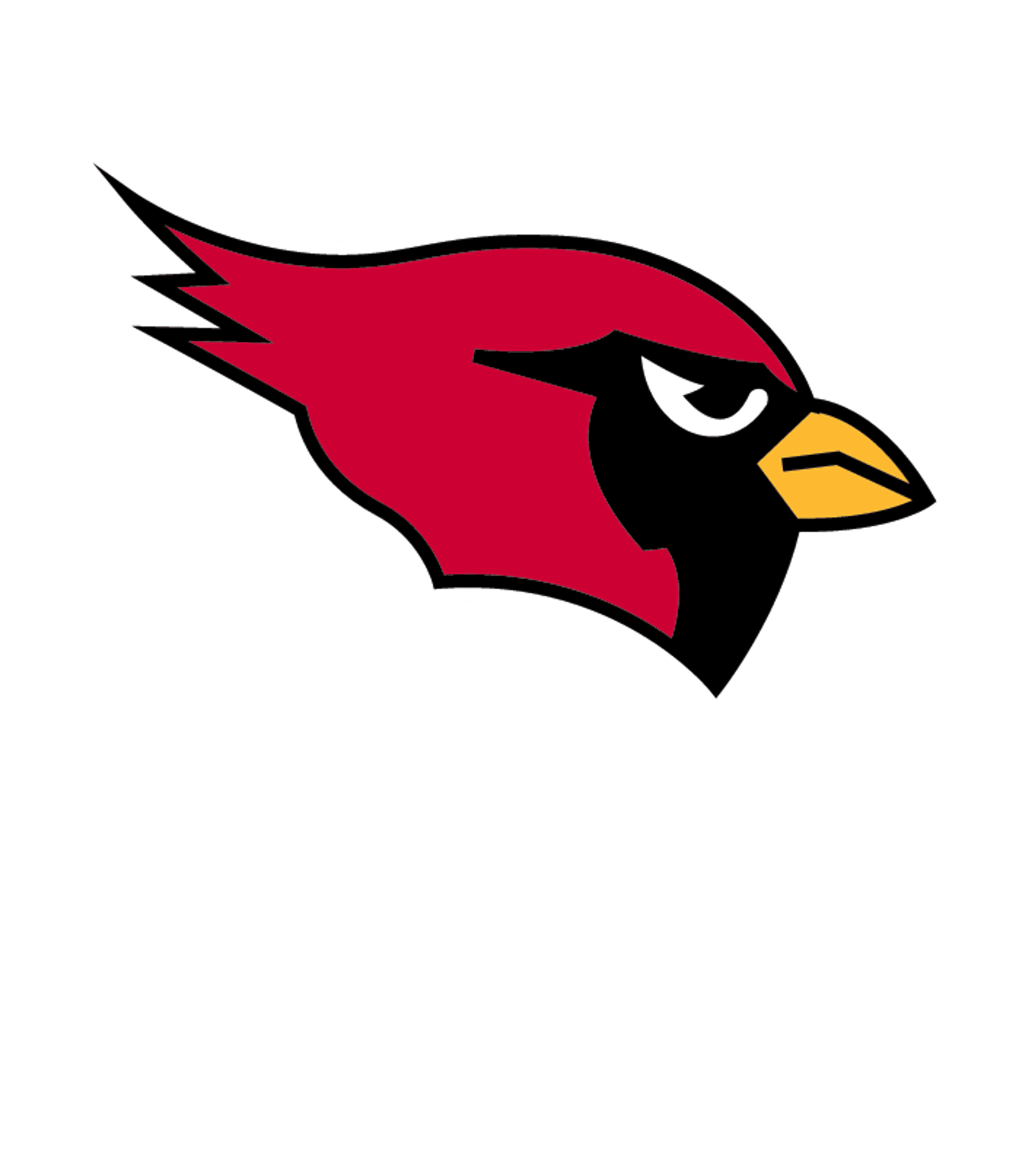 Newton Senior High  School Logo