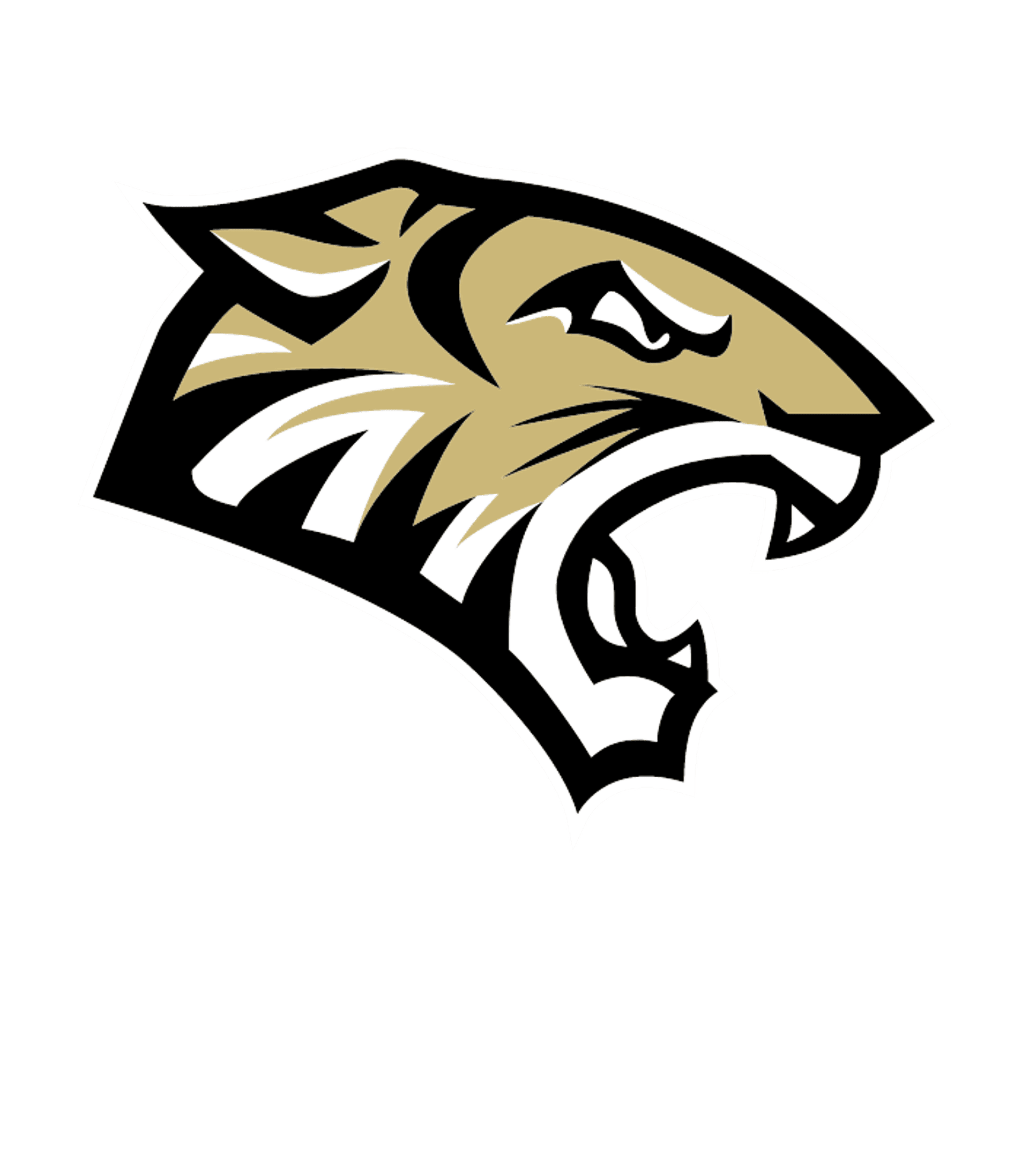 Peru Jr/Sr High School Logo