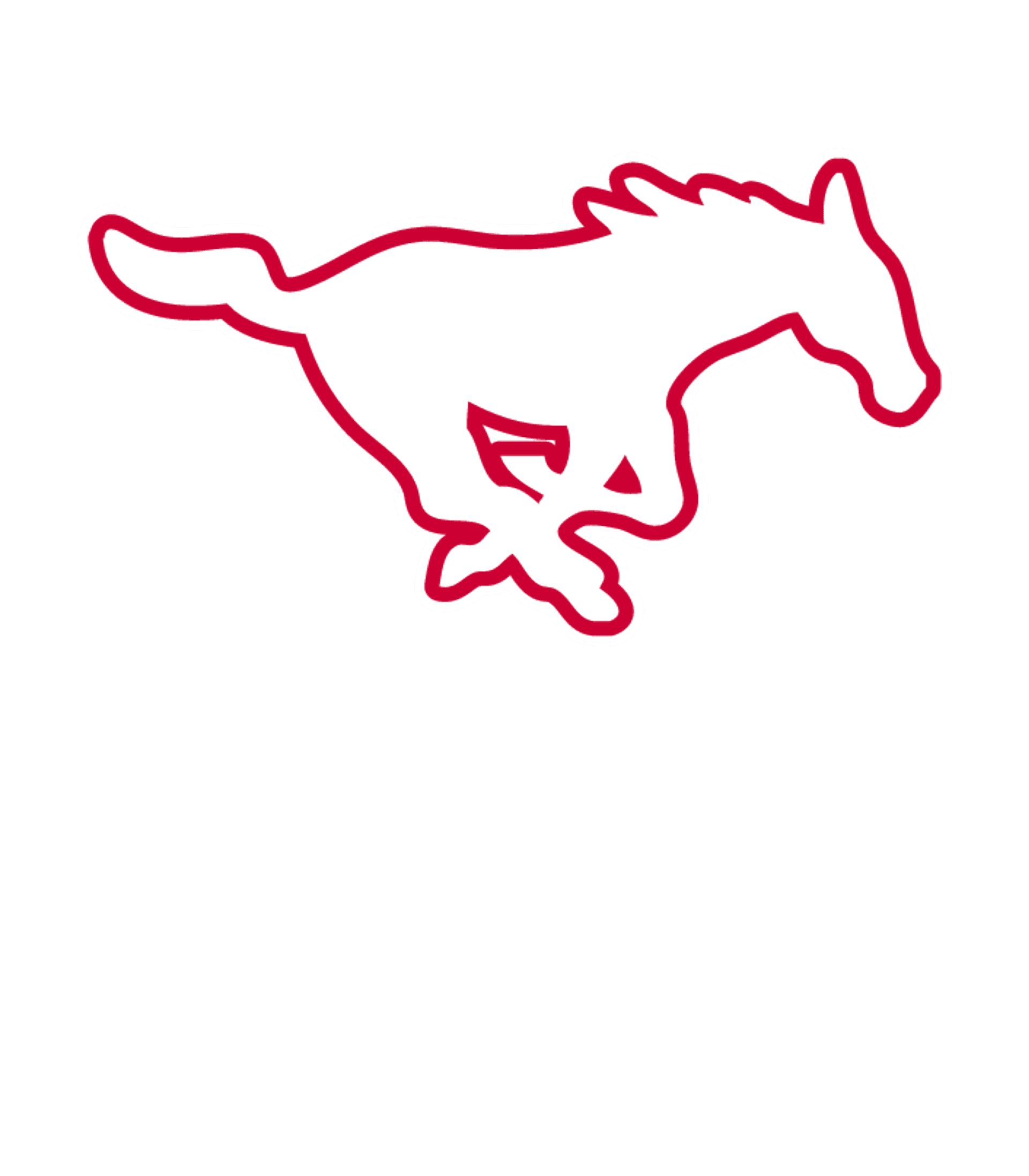 North Decatur Jr-Sr High School Logo