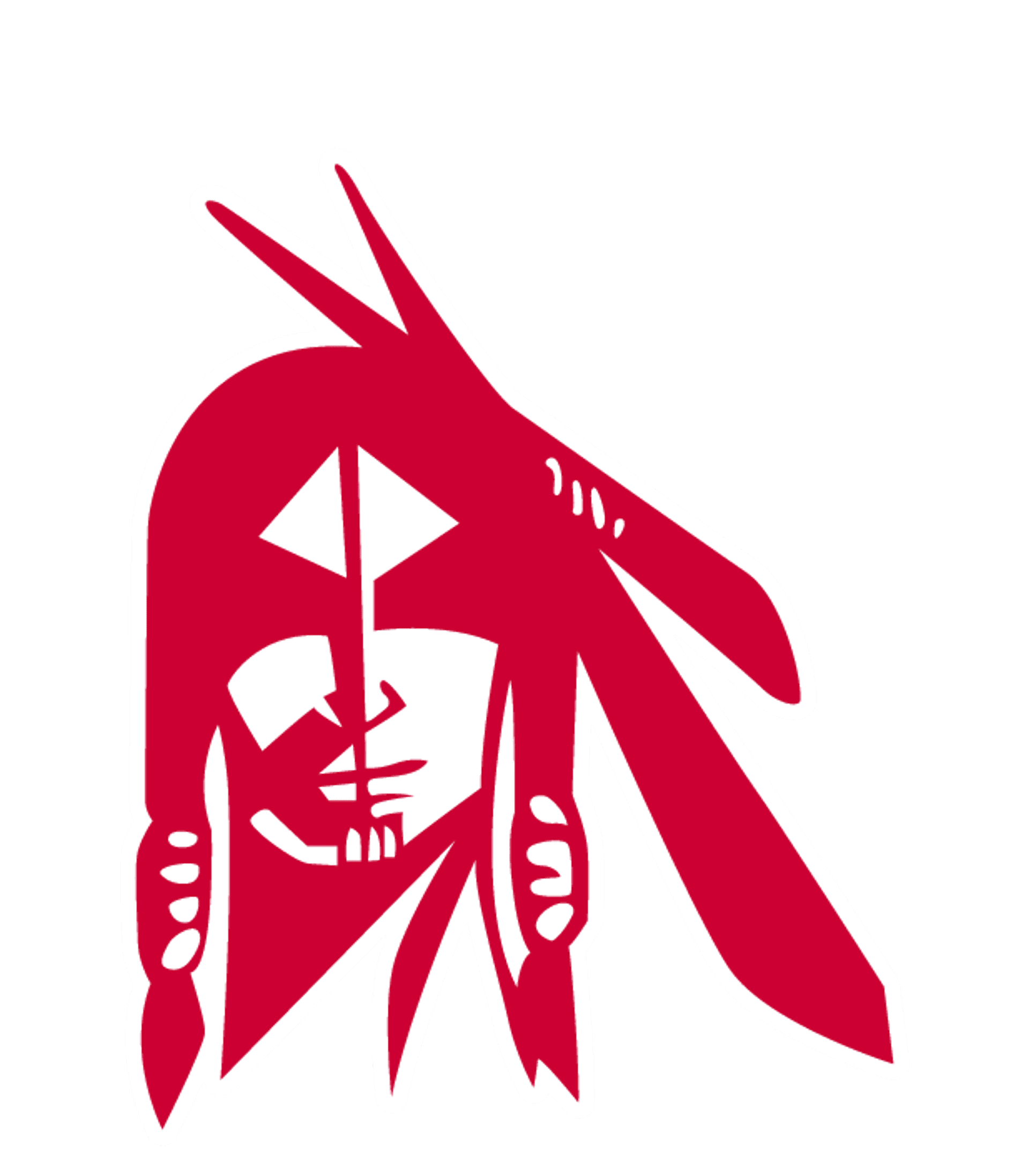 Pocahontas Area Middle/ High School Logo