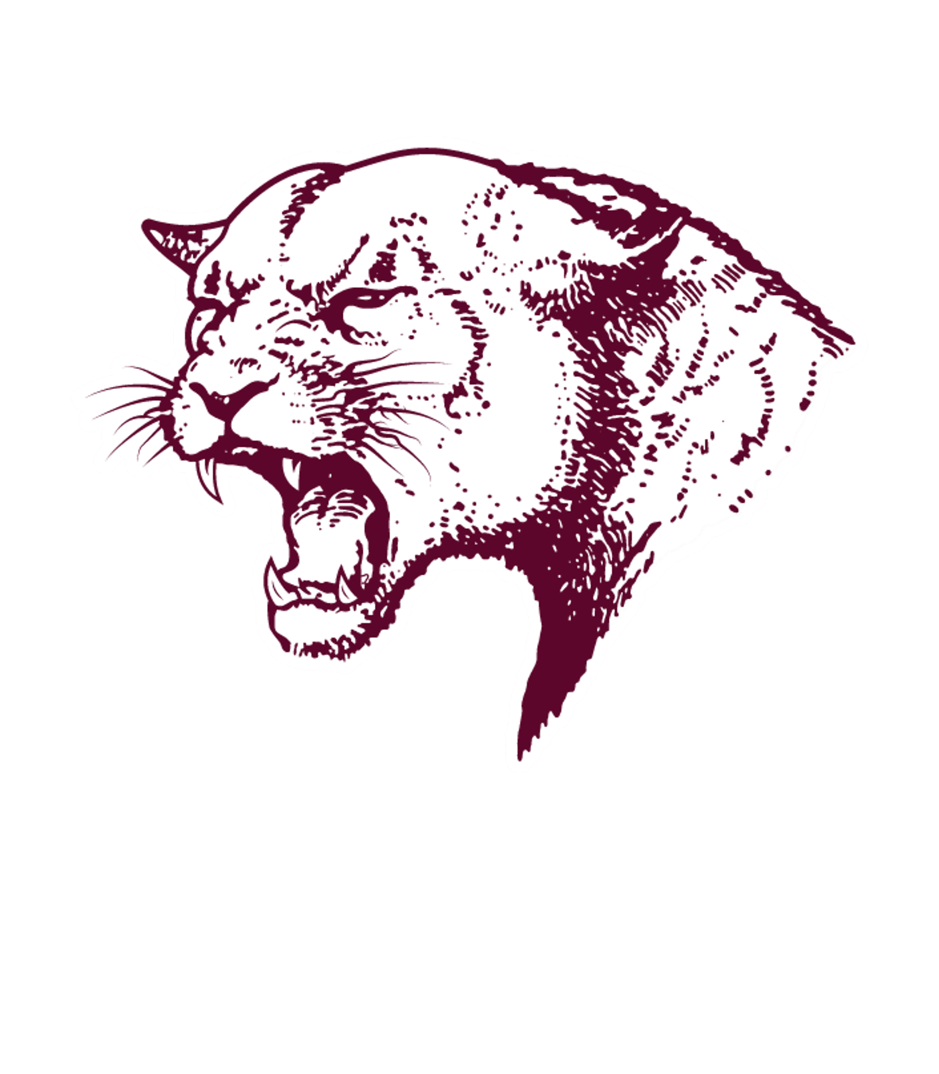 NORFOLK SENIOR HIGH SCHOOL Logo