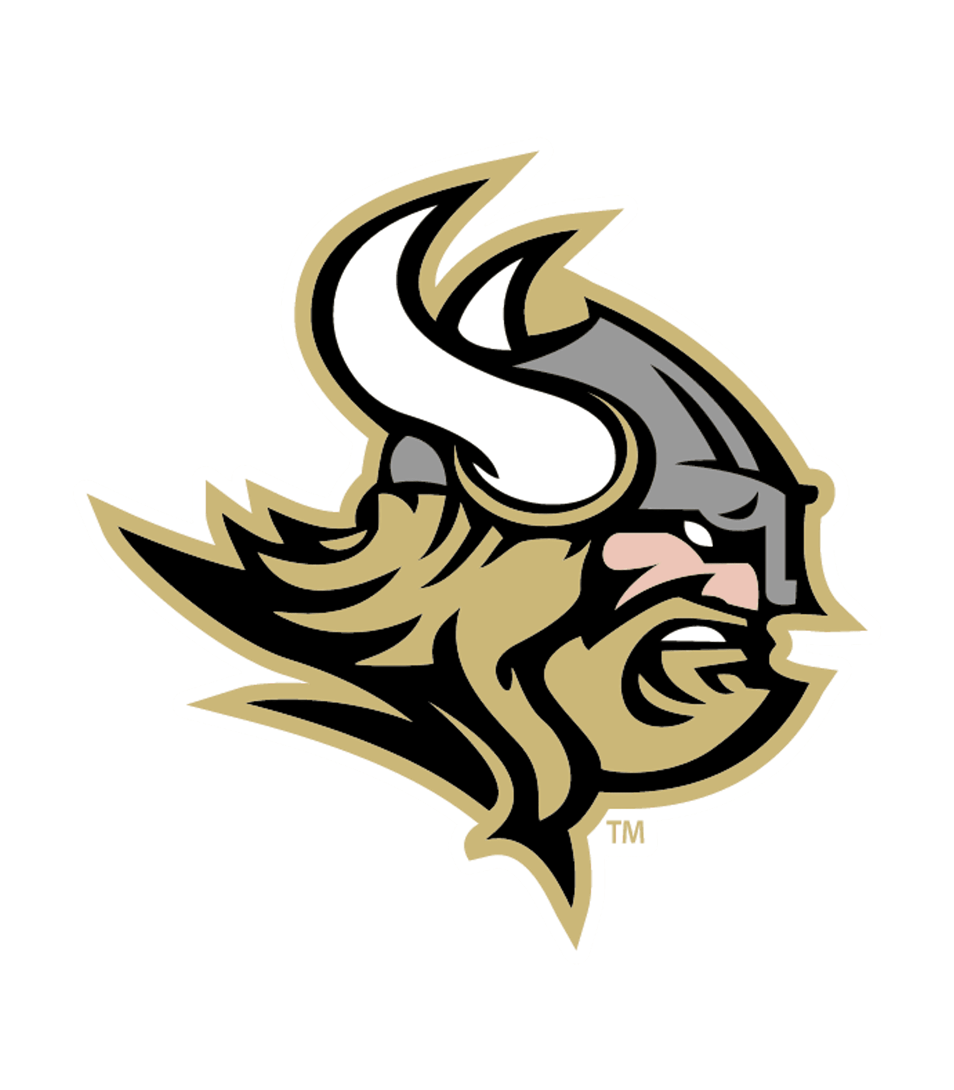 North Hall High School Logo