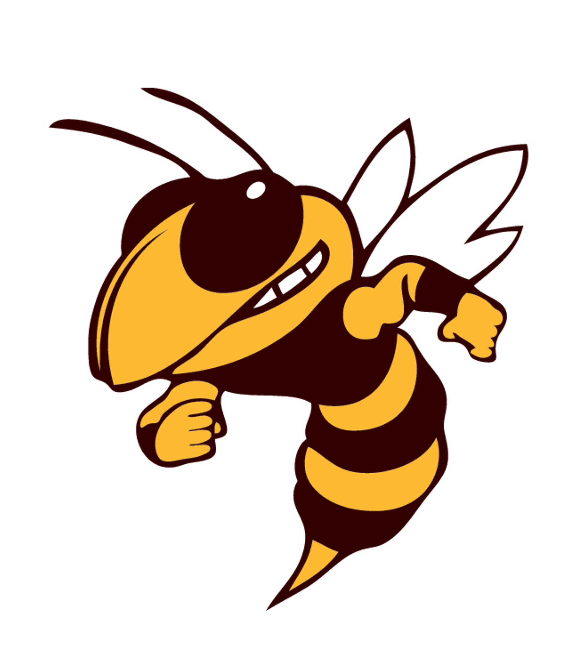 Pellston MiddleHigh School Logo