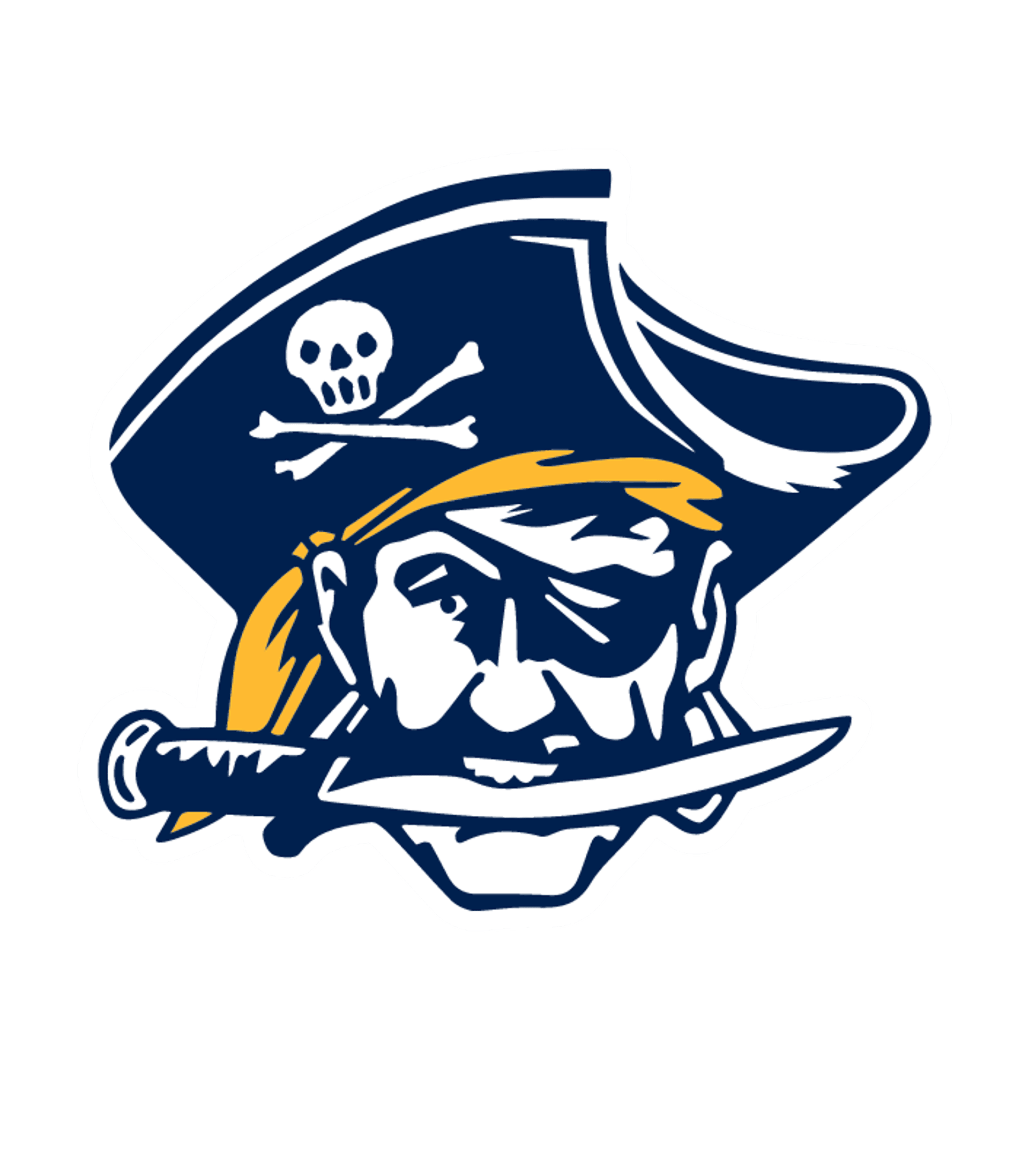 PINE TREE H S Logo