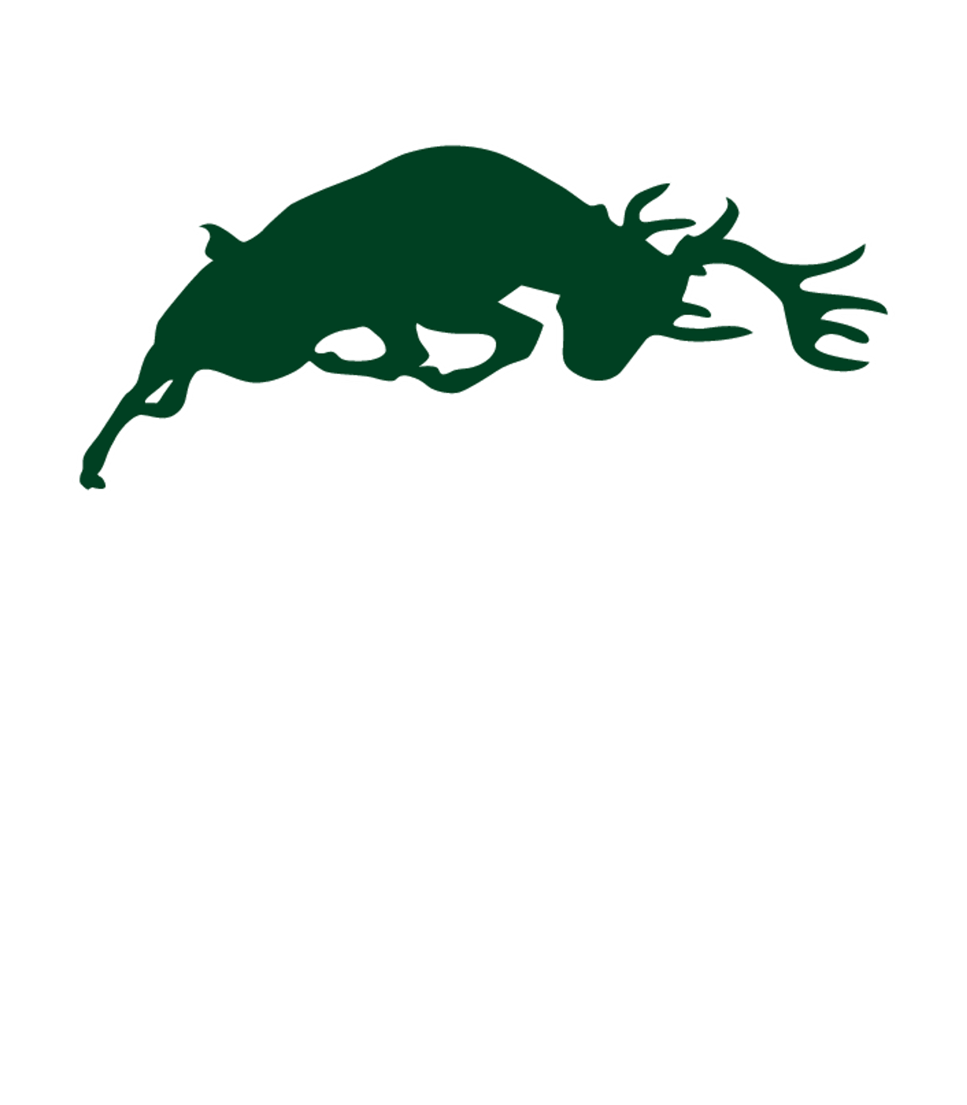 Pine River Area High School Logo