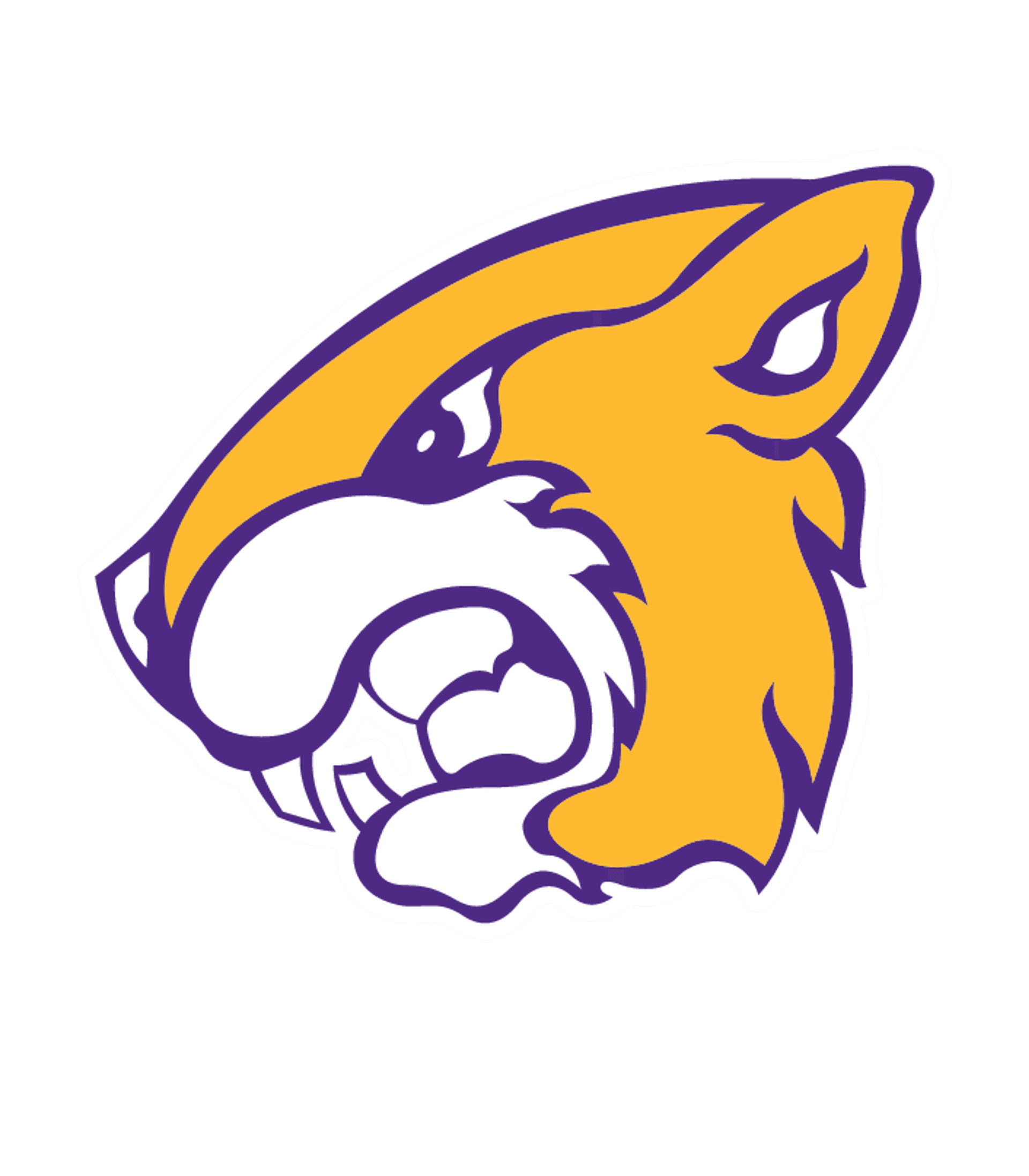 PAVILION JUNIOR-SENIOR HIGH SCHOOL Logo