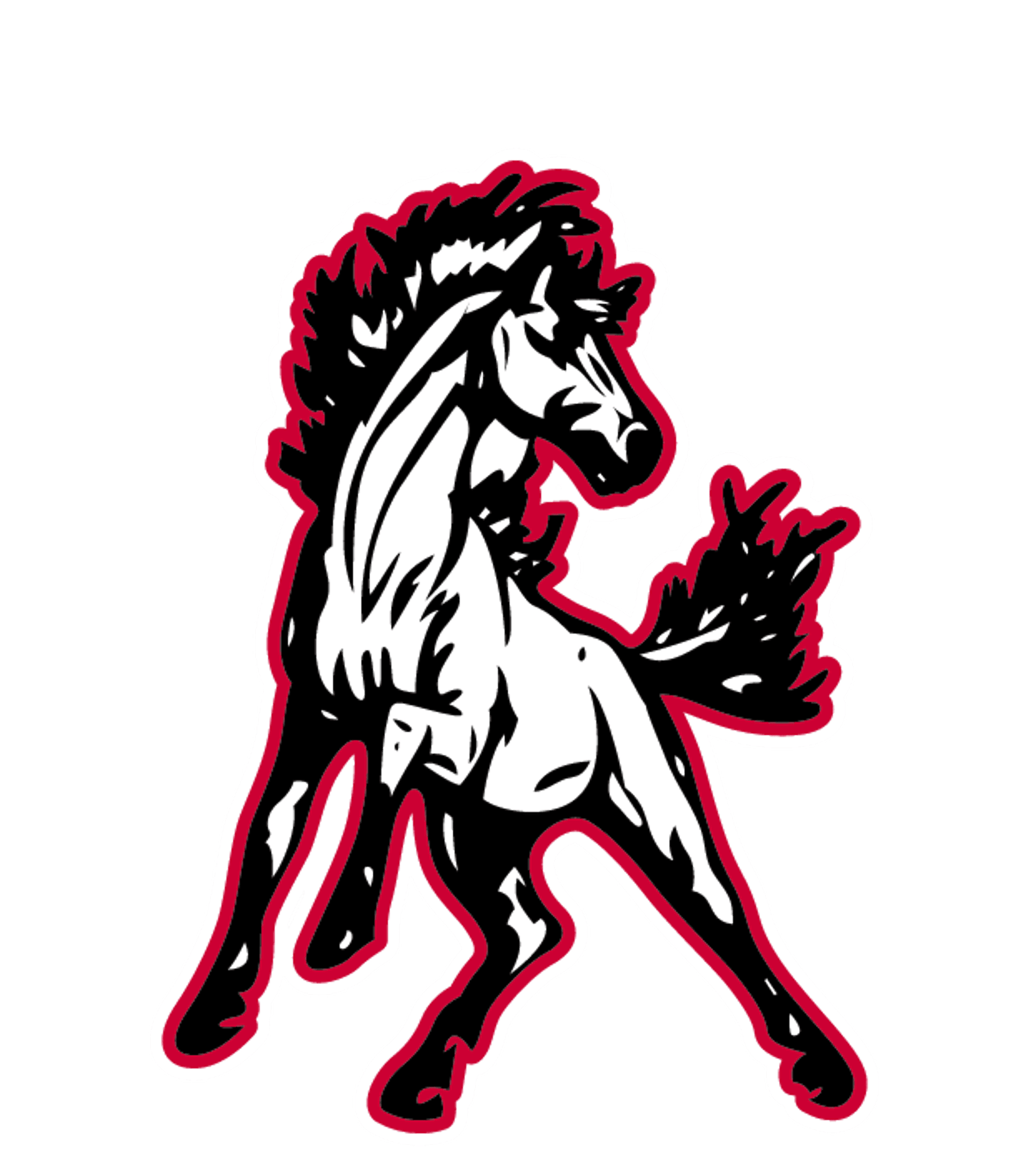 NORTH PEMISCOT SR. HIGH Logo