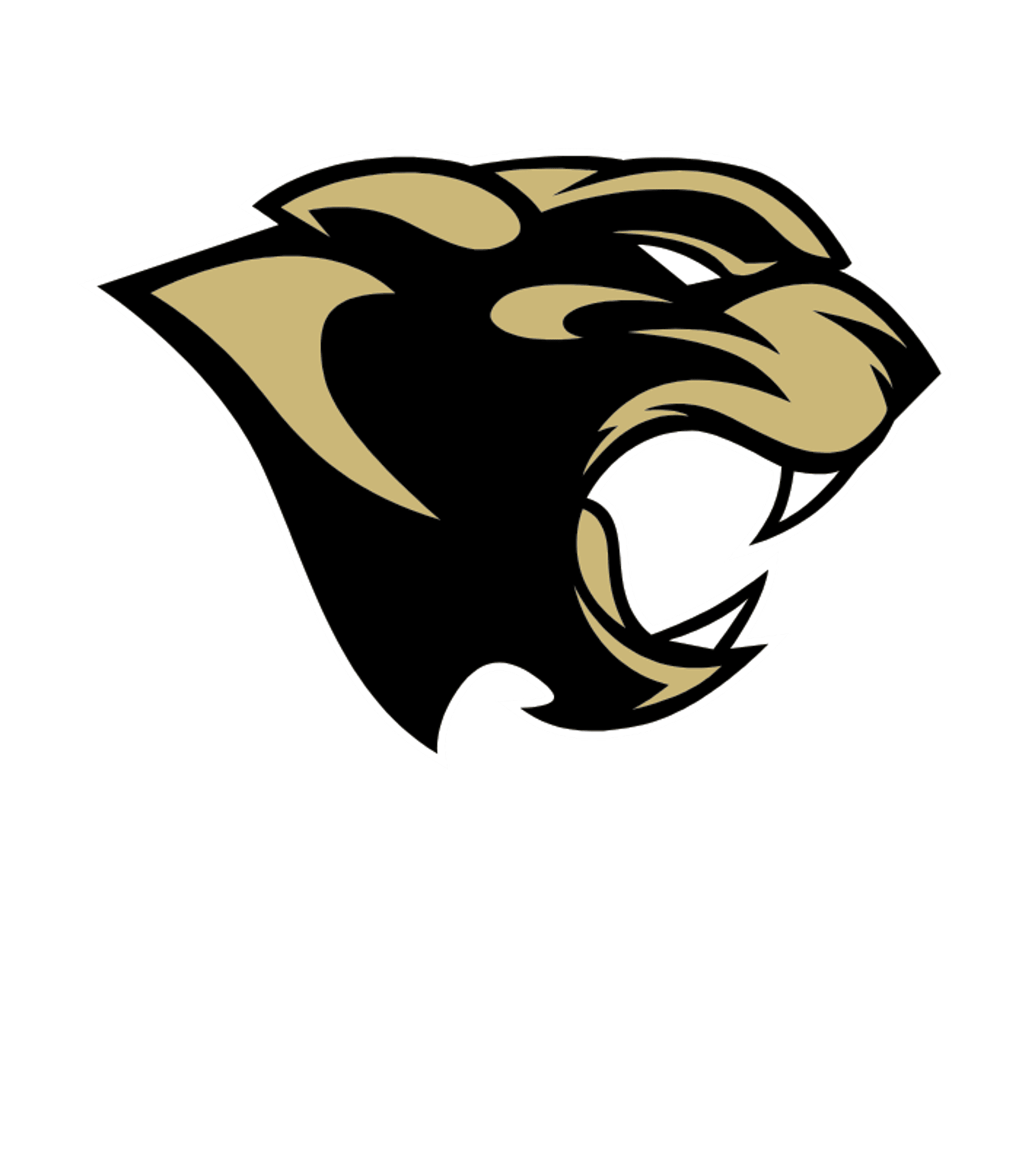 Paola High Logo