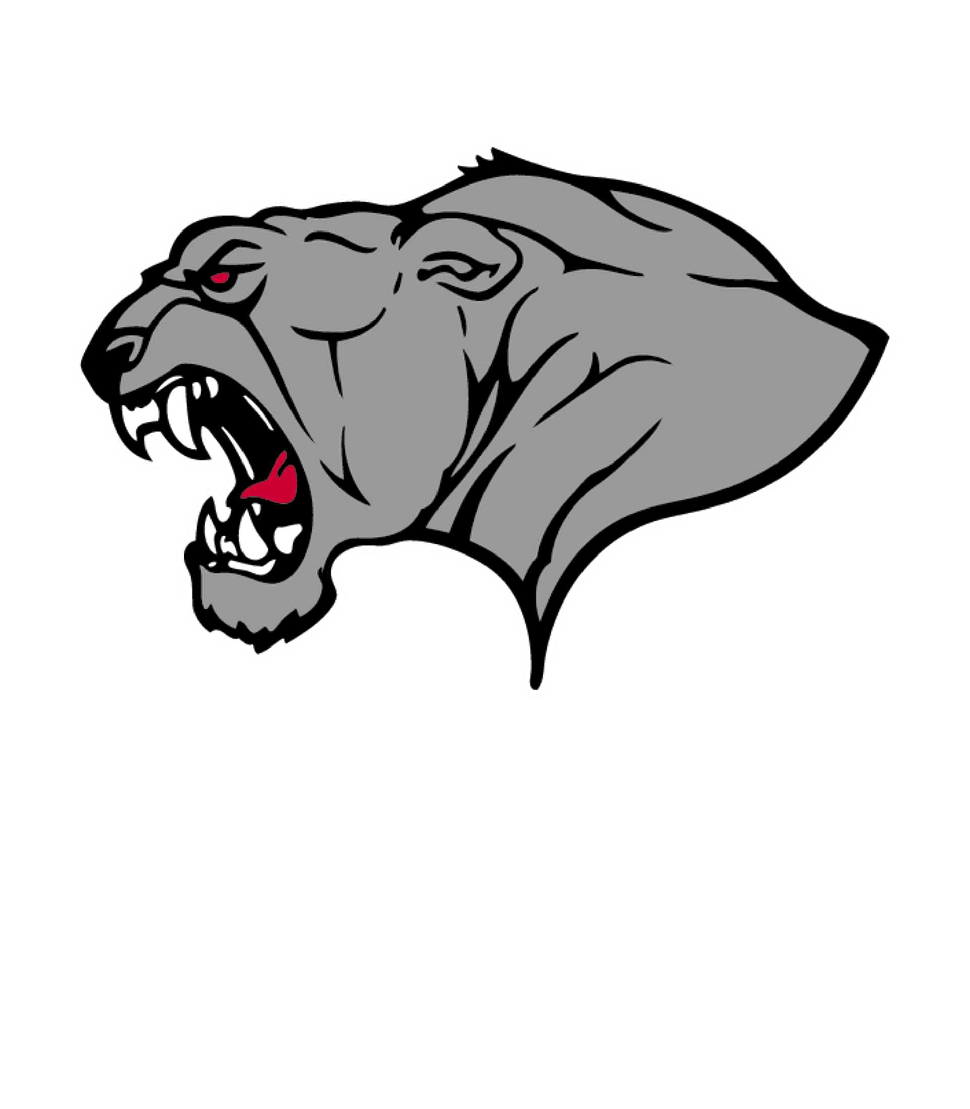 Peyton Senior High School Logo