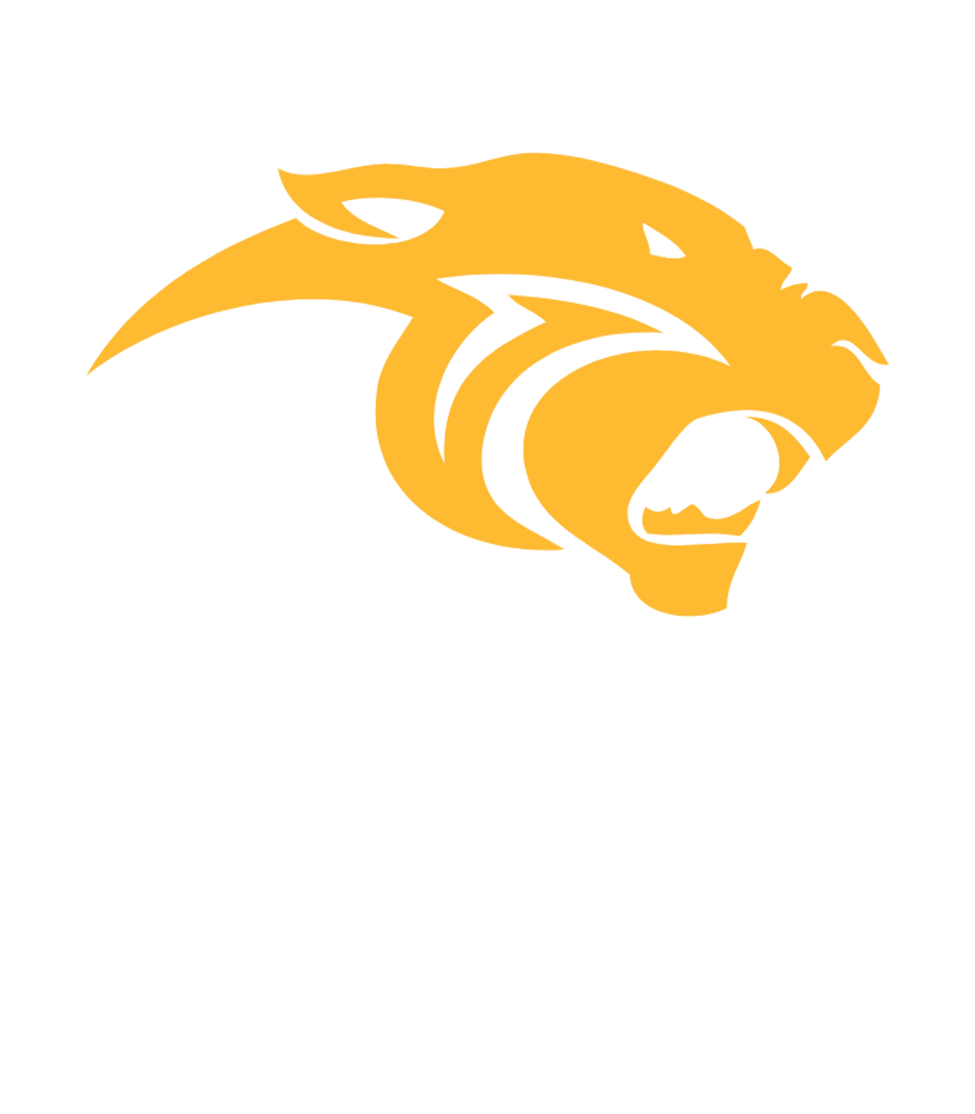 Perryville High Logo