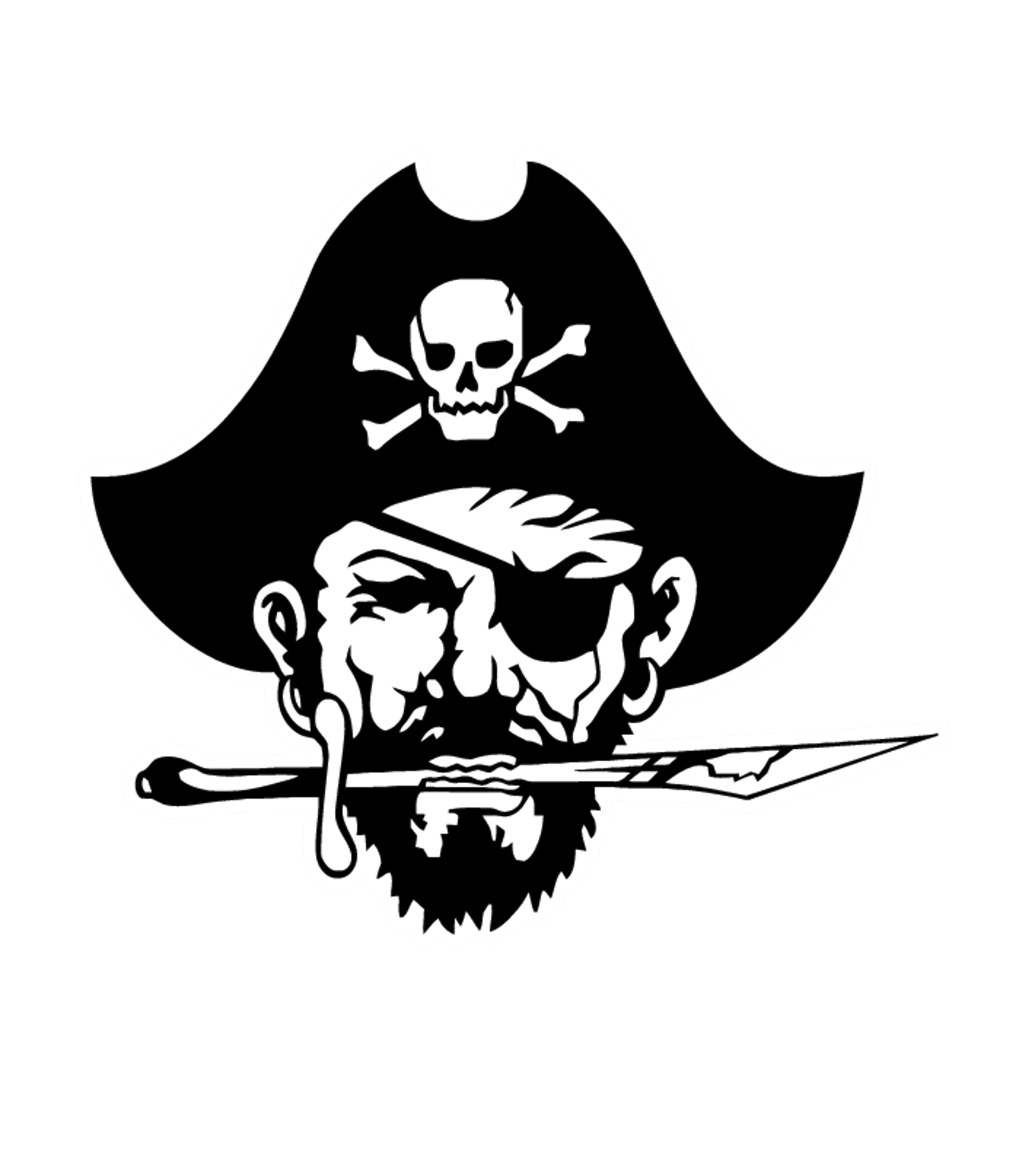 PLAINVIEW SECONDARY SCHOOL Logo