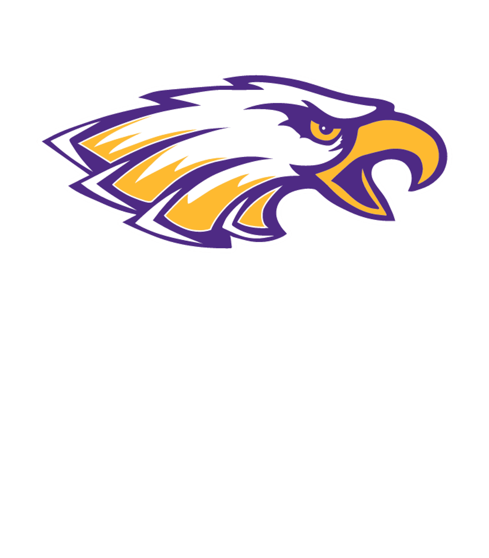 PECOS H S Logo