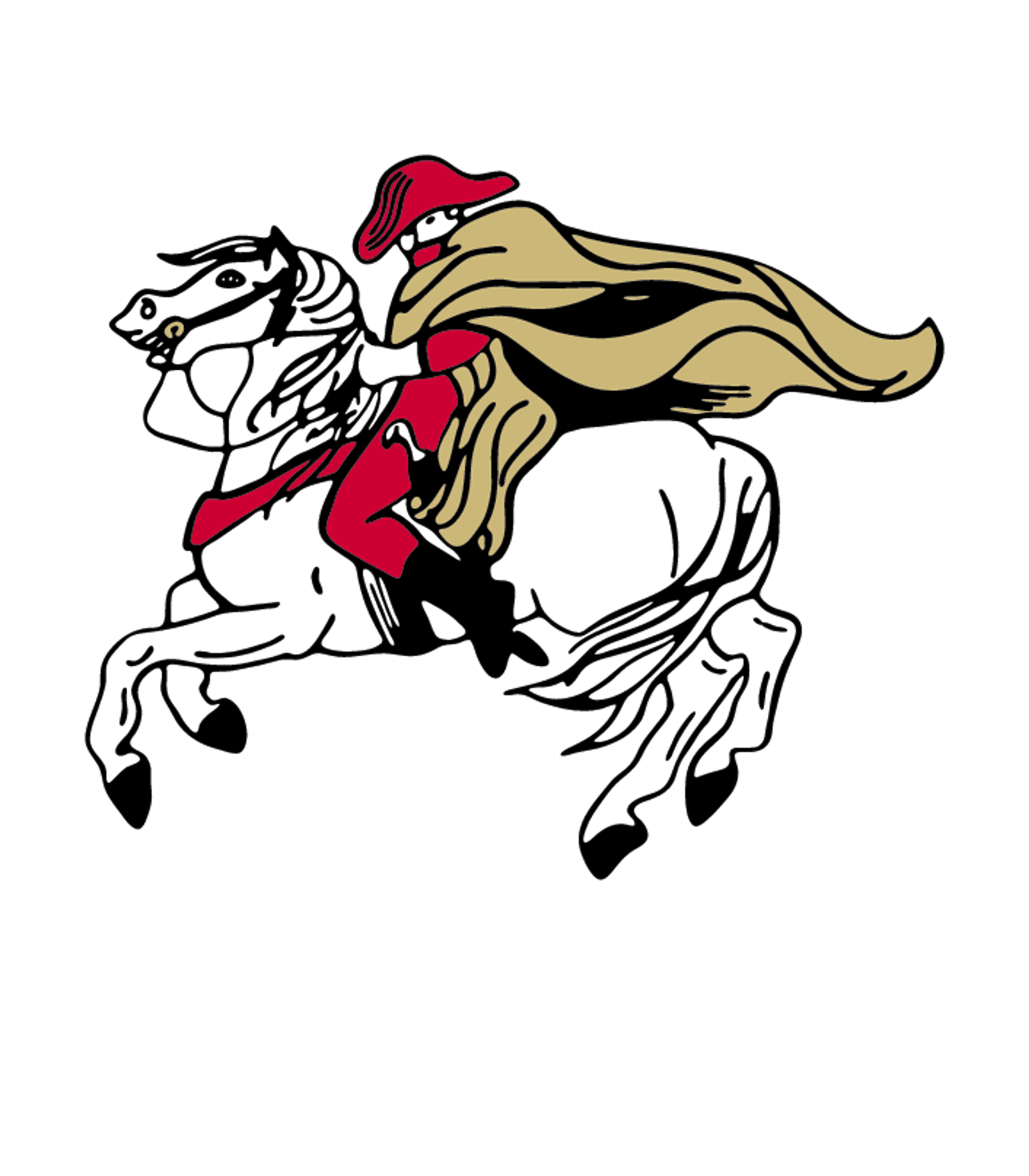 NORTH SHELBY HIGH Logo