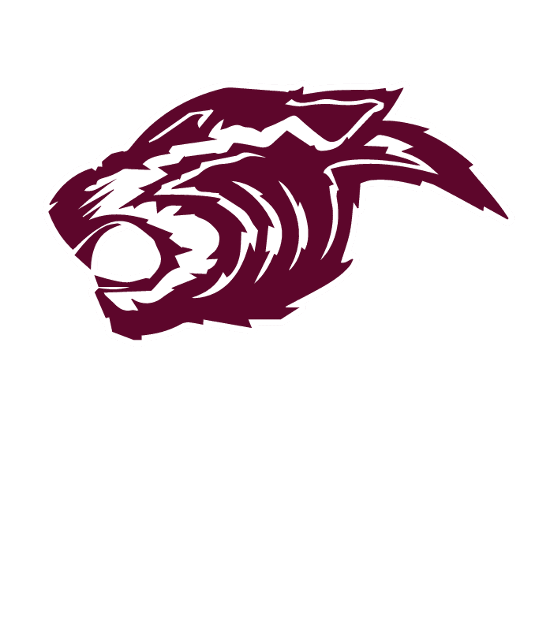 NORTHEAST SECONDARY SCHOOL Logo