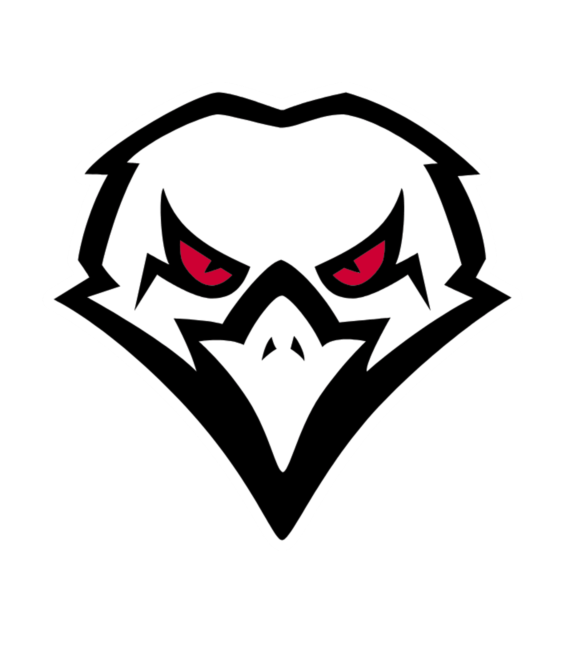 Norwich High Logo
