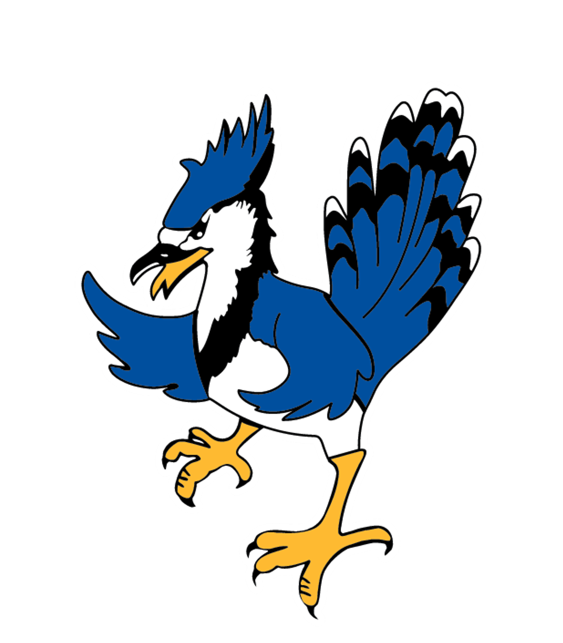 NORTHEAST NODAWAY HIGH Logo