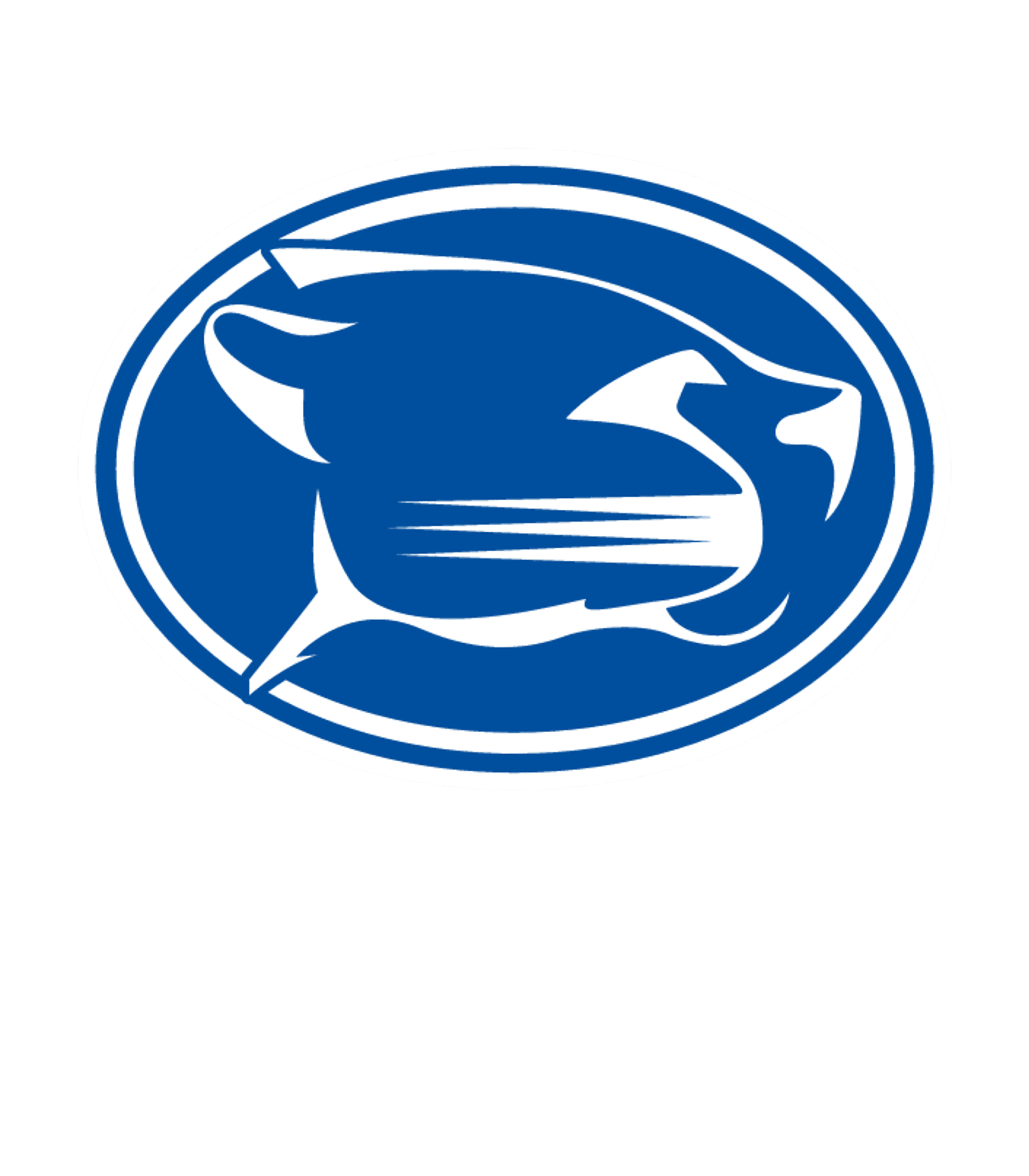 Northridge Academy High Logo