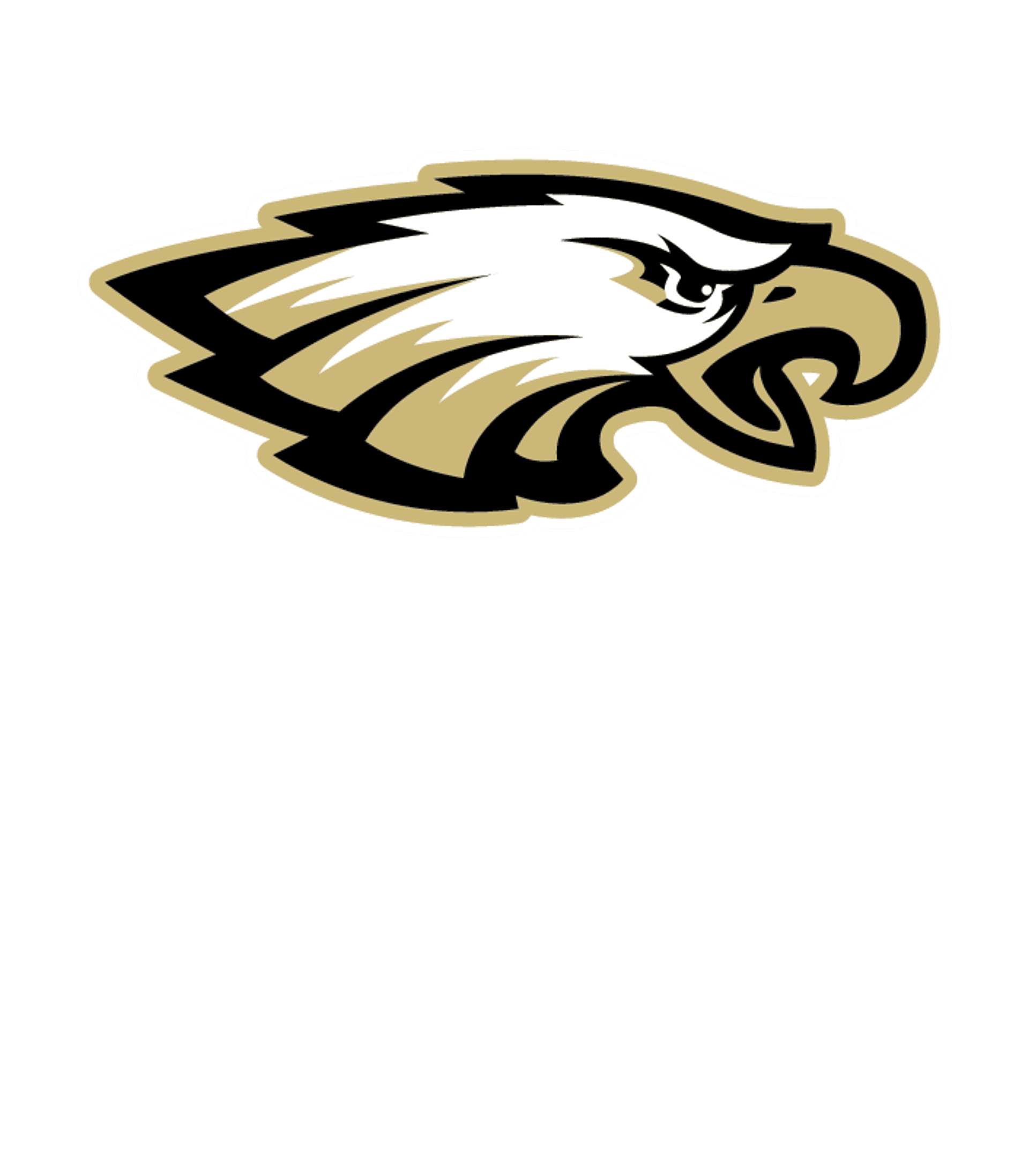 NORTHLAND SECONDARY Logo