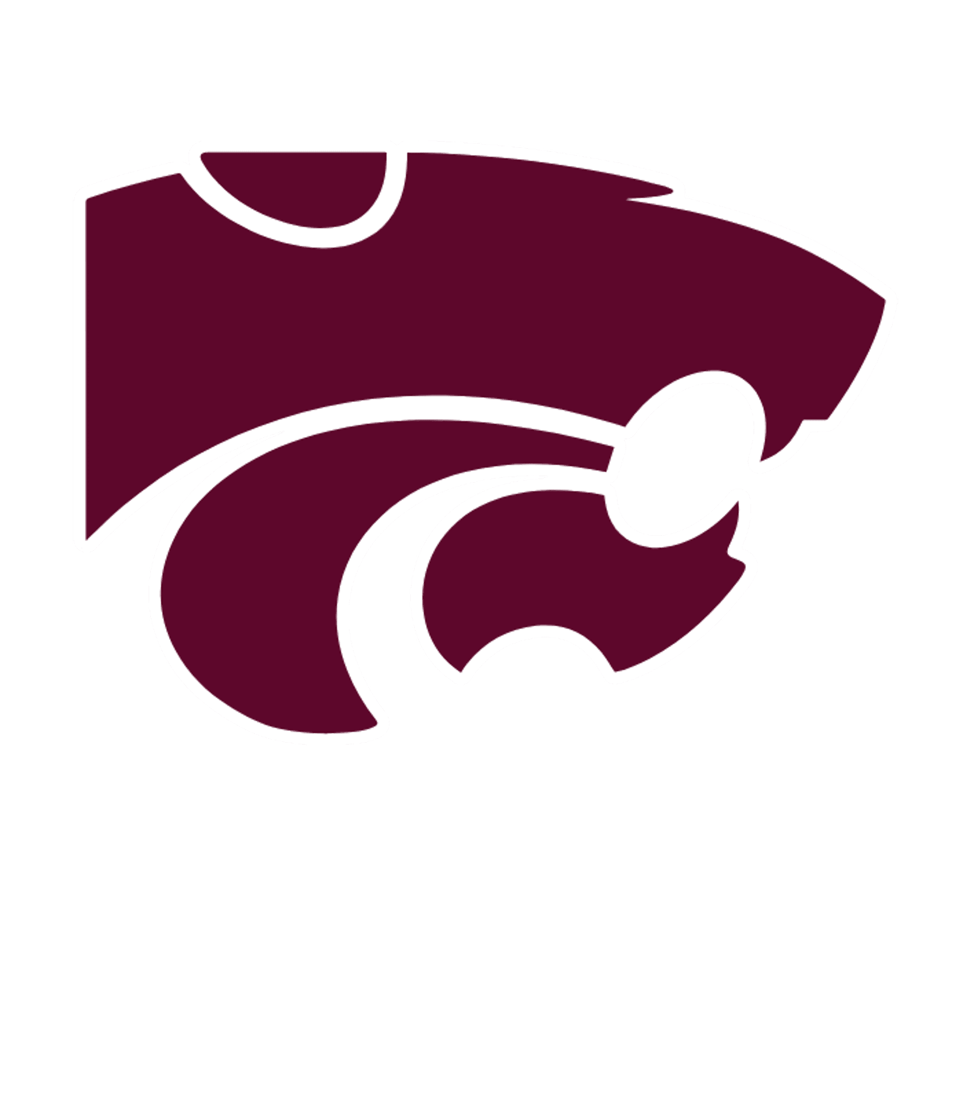 Paloma Valley High Logo